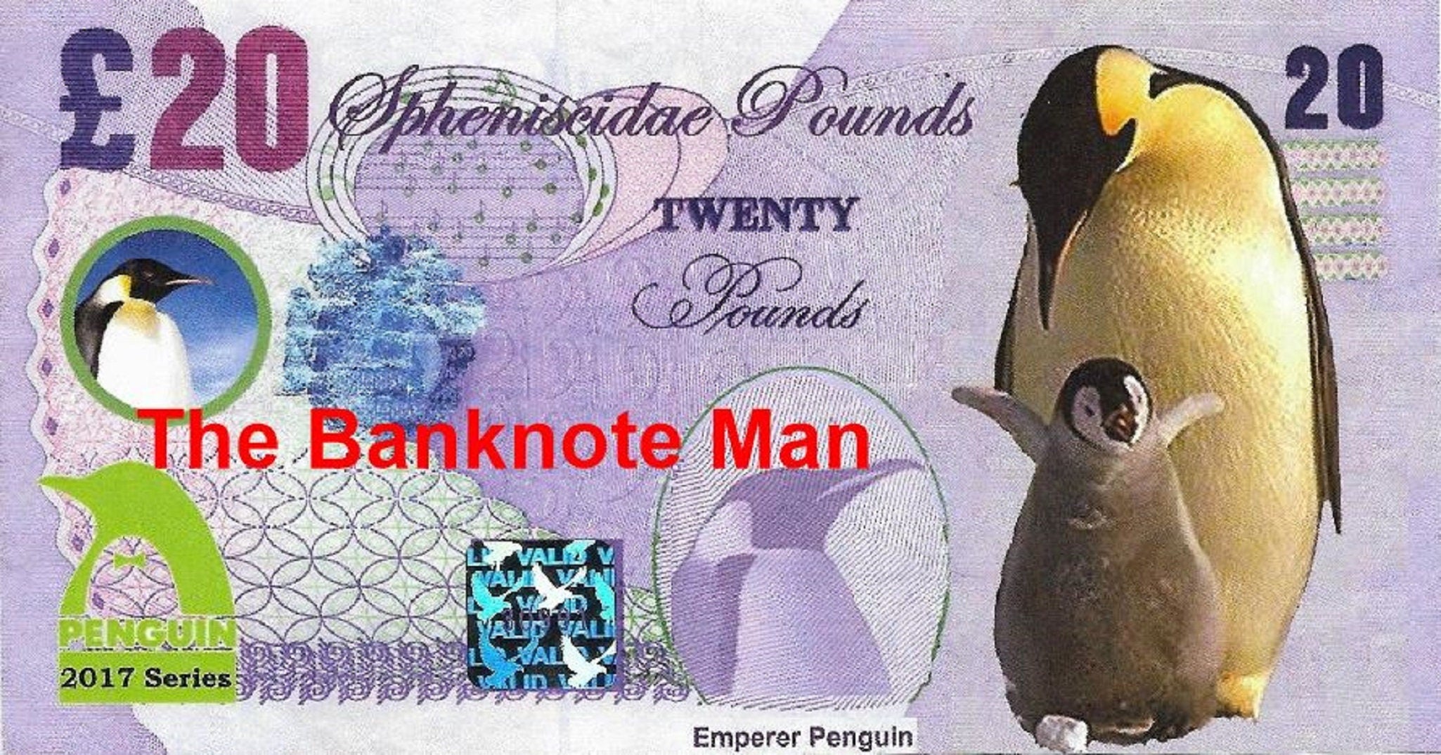 EMPEROR PENGUIN - 20 Spheniscidae Pounds; A Banknote Man FANTASY Note