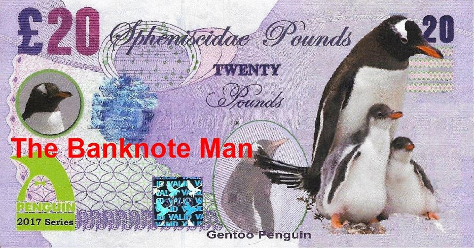 GENTOO PENGUIN - 20 Spheniscidae Pounds; A Banknote Man FANTASY Note