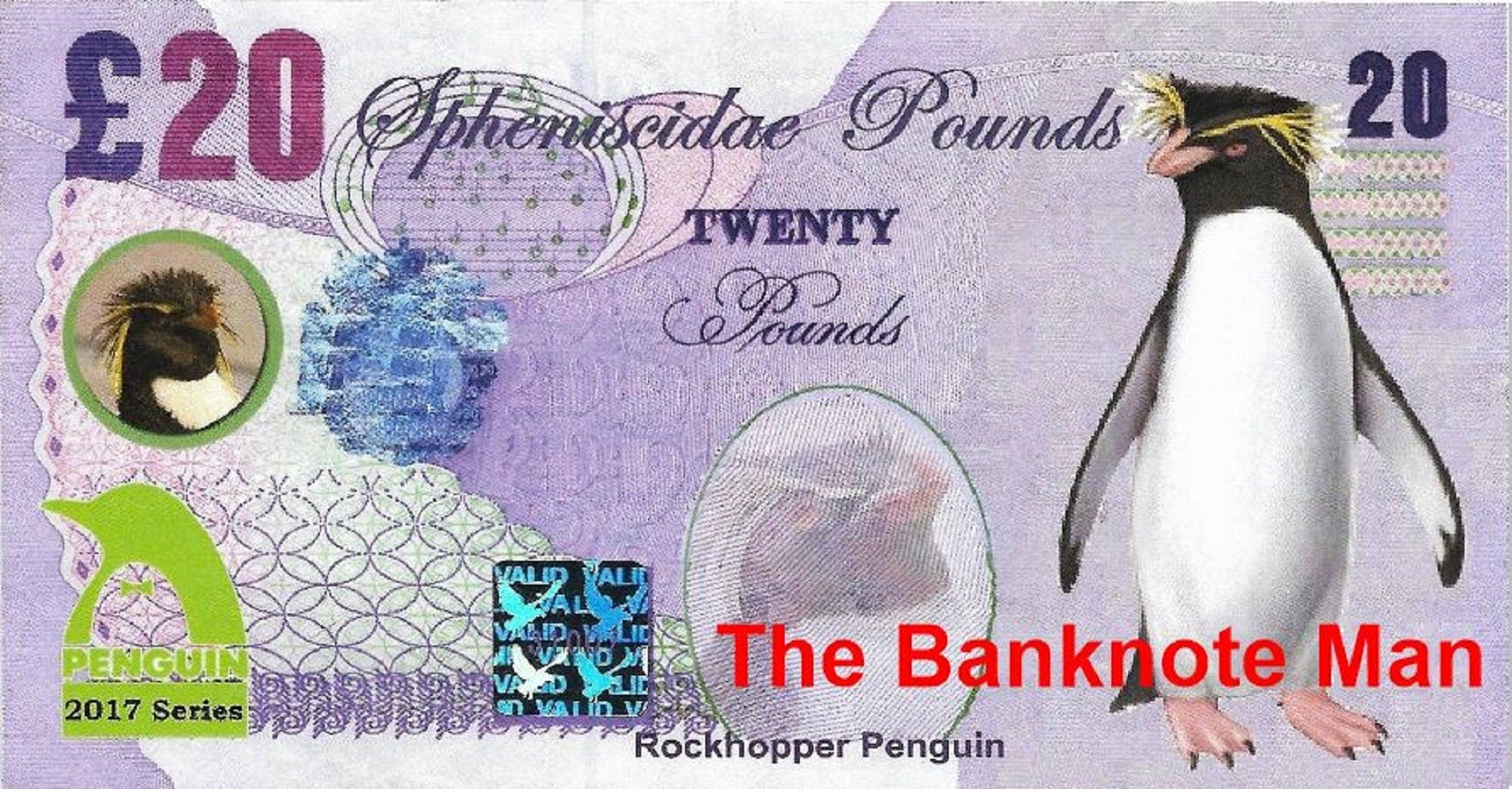 ROCKHOPPER PENGUIN - 20 Spheniscidae Pounds; A Banknote Man FANTASY Note