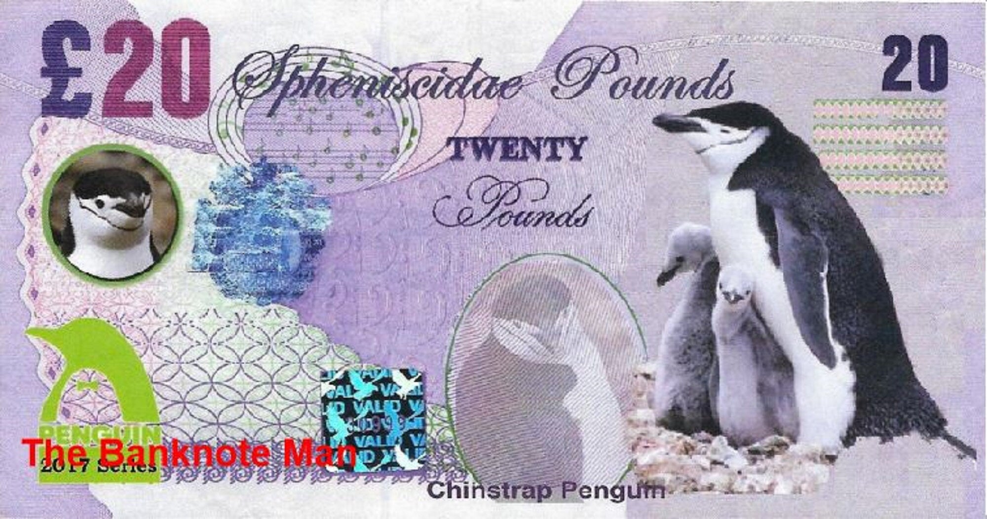 CHINSTRAP PENGUIN - 20 Spheniscidae Pounds; A Banknote Man FANTASY Note