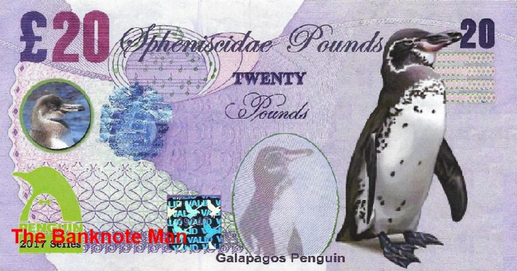 GALAPAGOS PENGUIN - 20 Spheniscidae Pounds; A Banknote Man FANTASY Note