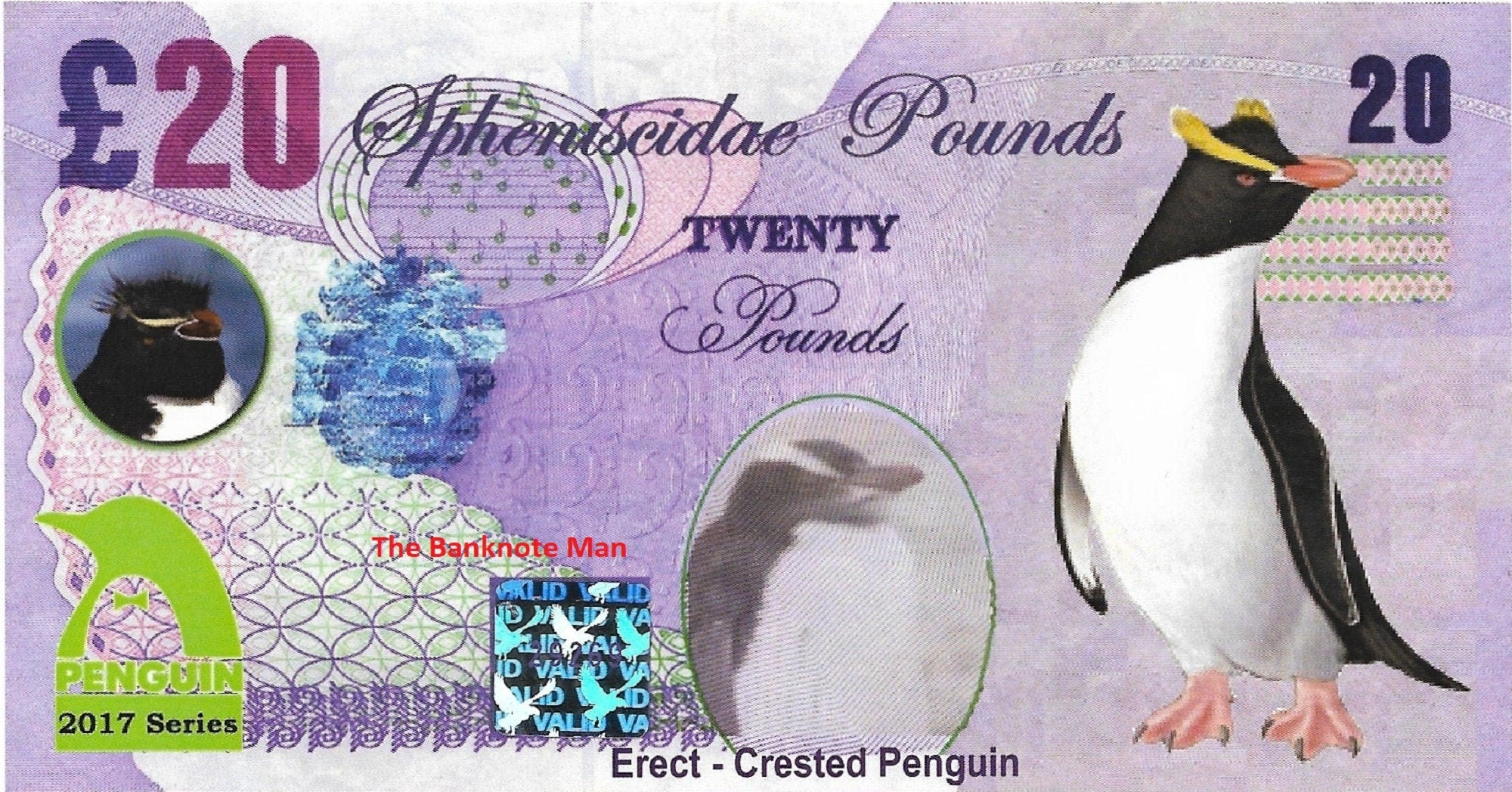 ERECT-CRESTED PENGUIN - 20 Spheniscidae Pounds; A Banknote Man Fantasy Note