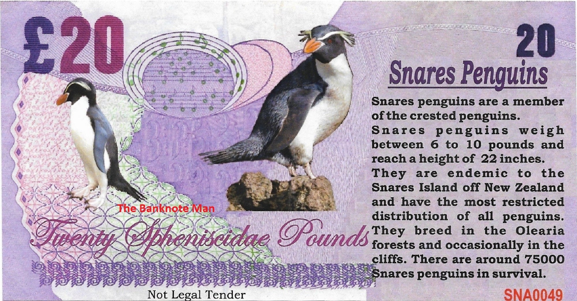 SNARES PENGUIN - 20 Spheniscidae Pounds; A Banknote Man Fantasy Note