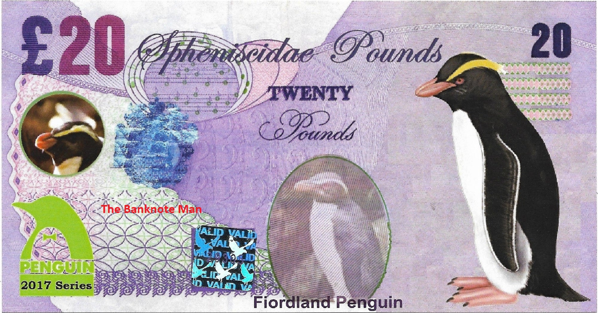 FIORDLAND PENGUIN - 20 Spheniscidae Pounds; A Banknote Man Fantasy Note