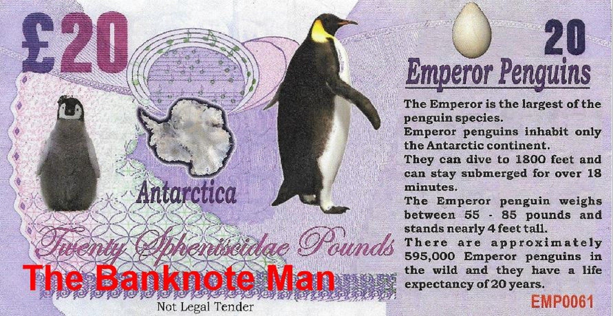 EMPEROR PENGUIN - 20 Spheniscidae Pounds; A Banknote Man FANTASY Note