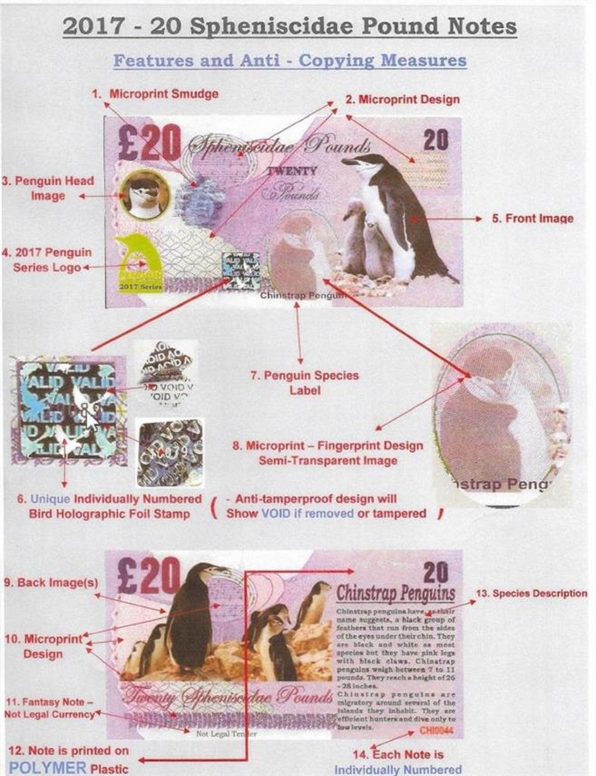 ADELIE PENGUIN - 20 Spheniscidae Pounds; A Banknote Man FANTASY Note