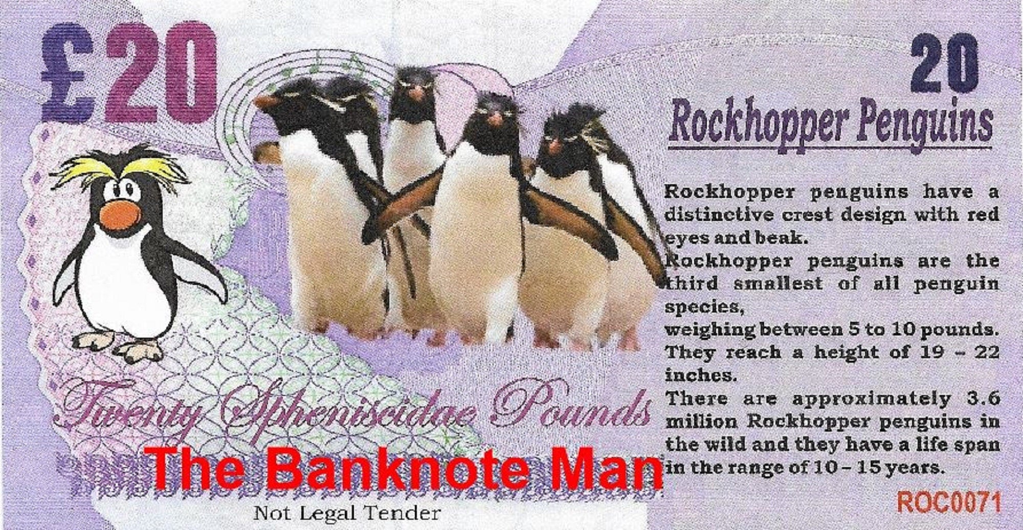ROCKHOPPER PENGUIN - 20 Spheniscidae Pounds; A Banknote Man FANTASY Note