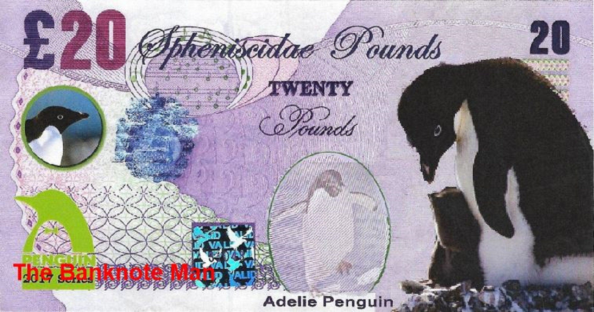 ADELIE PENGUIN - 20 Spheniscidae Pounds; A Banknote Man FANTASY Note