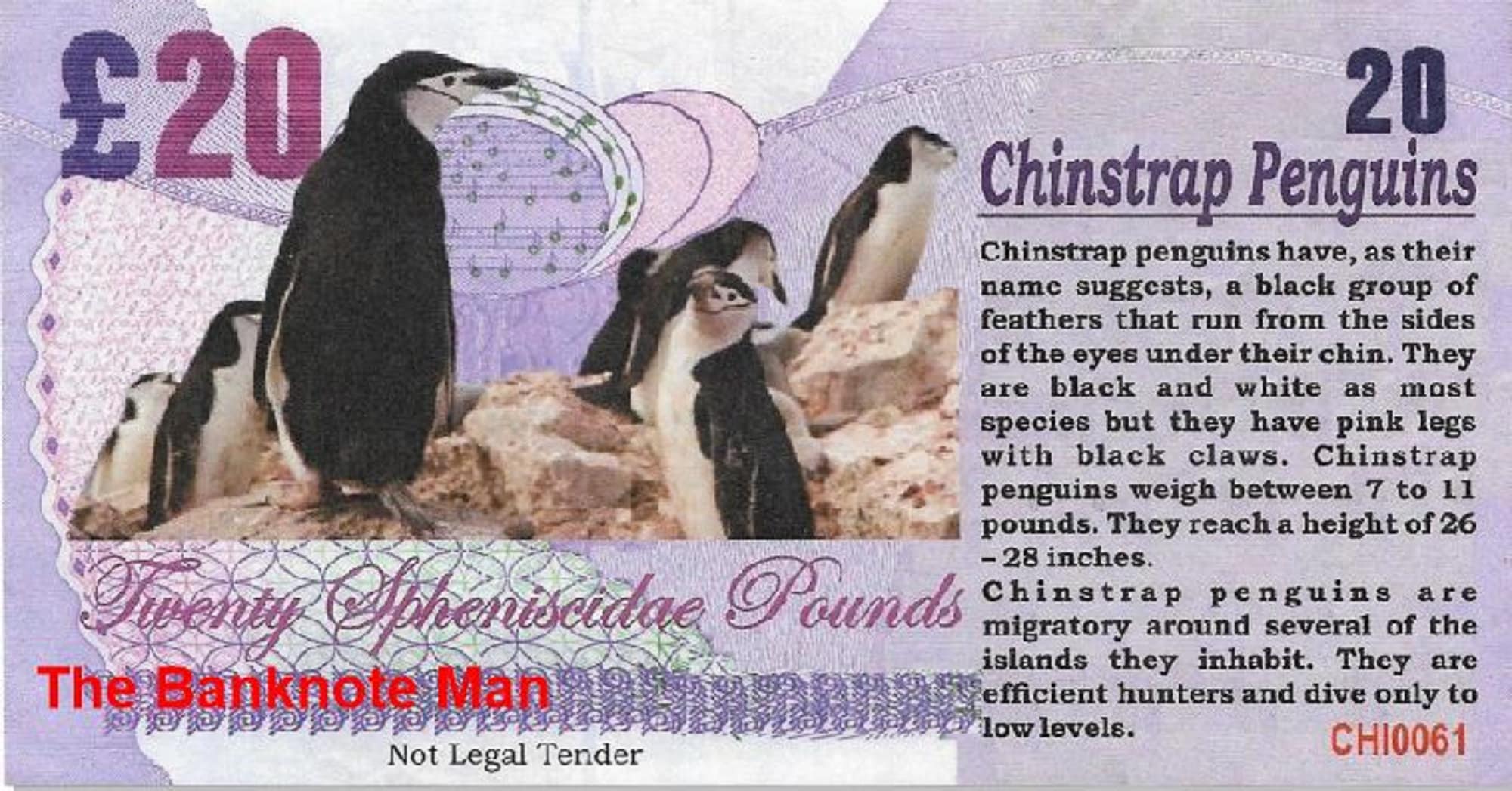 CHINSTRAP PENGUIN - 20 Spheniscidae Pounds; A Banknote Man FANTASY Note