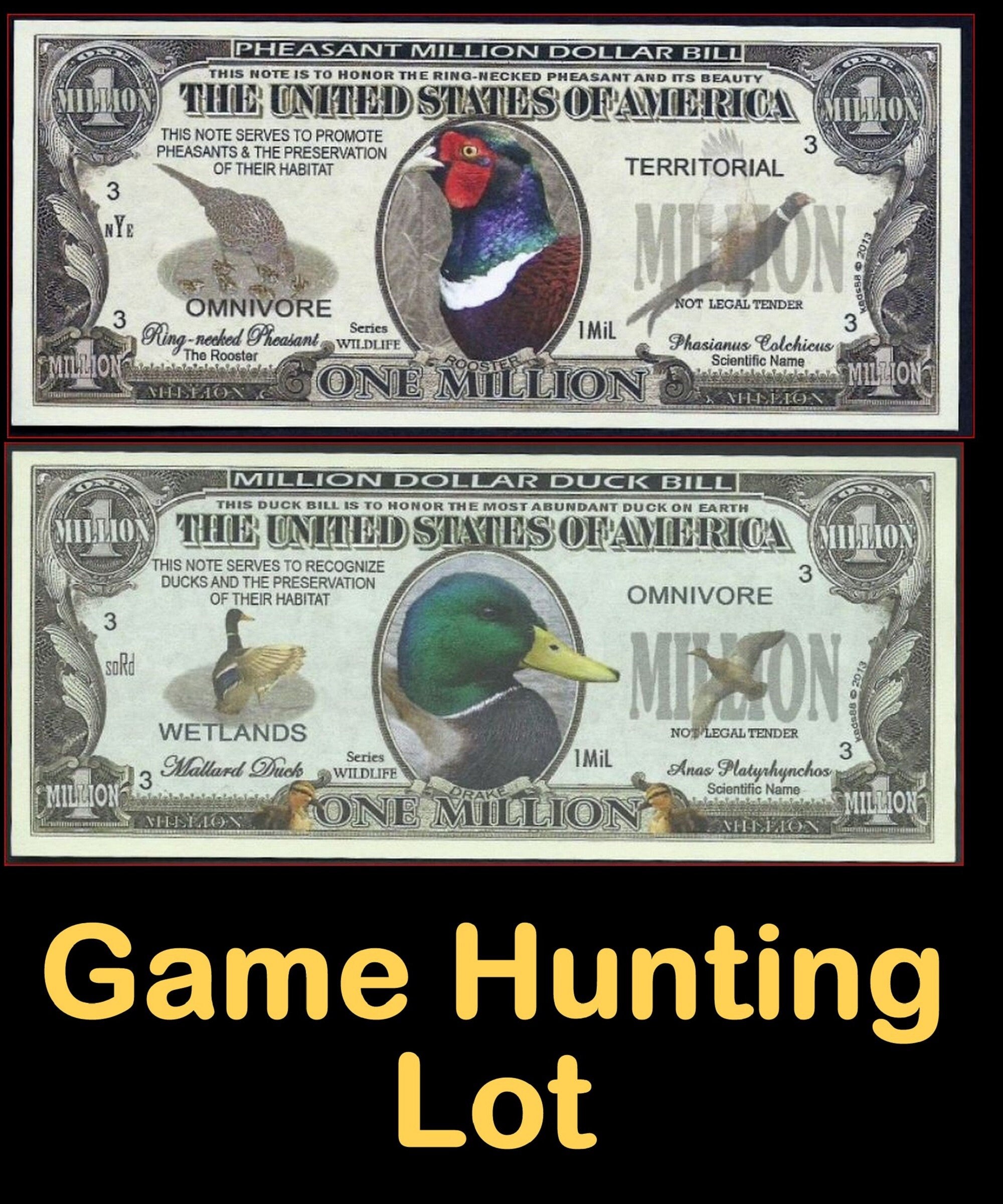 LOT of 2 GAME BIRDS Fantasy Notes ~ Duck & Pheasant