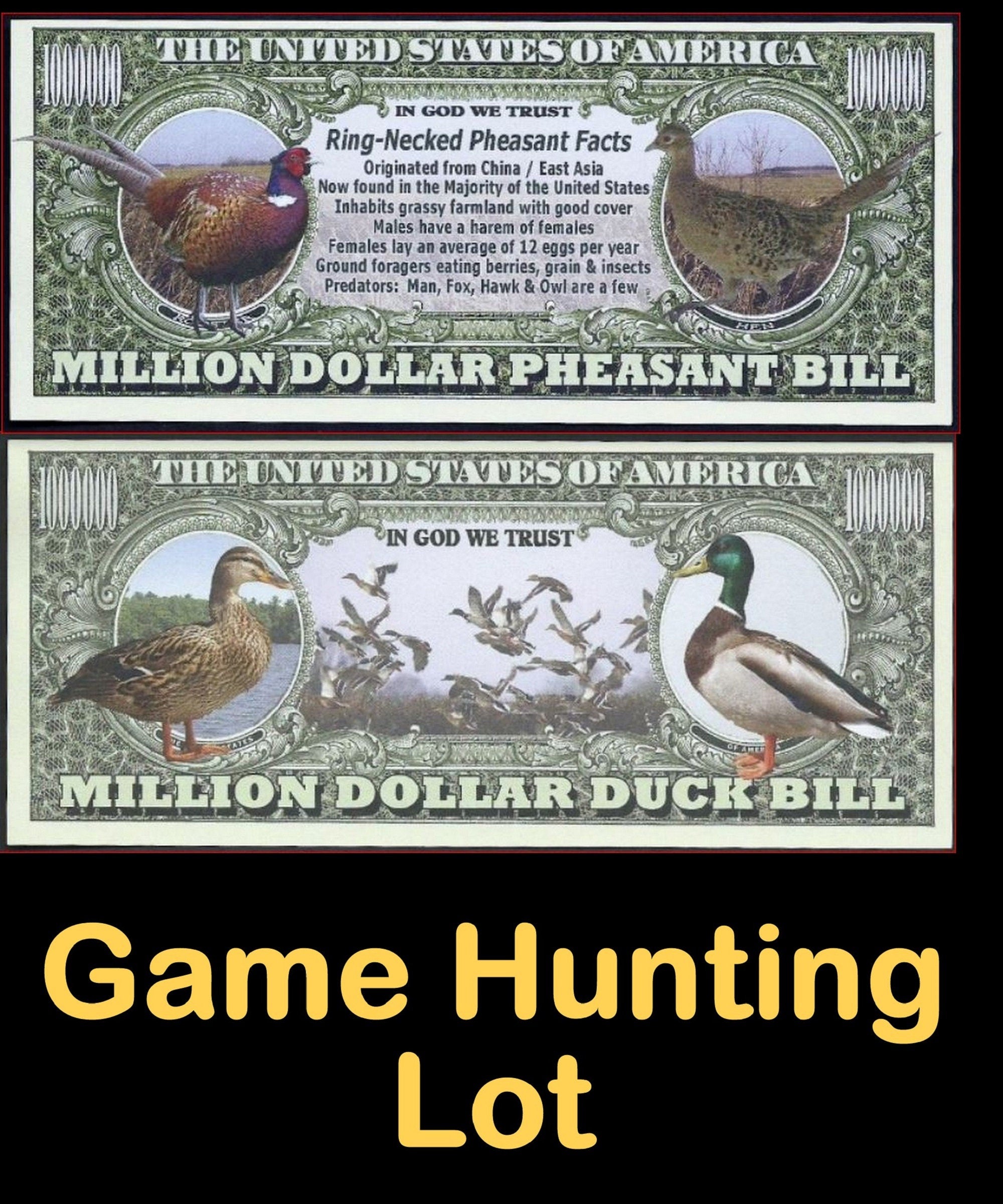 LOT of 2 GAME BIRDS Fantasy Notes ~ Duck & Pheasant