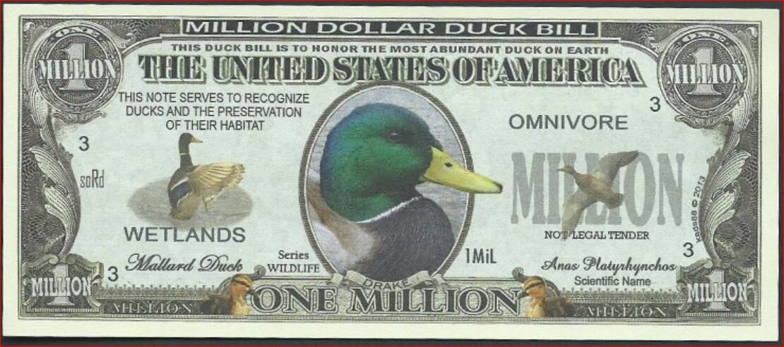 LOT of 2 GAME BIRDS Fantasy Notes ~ Duck & Pheasant