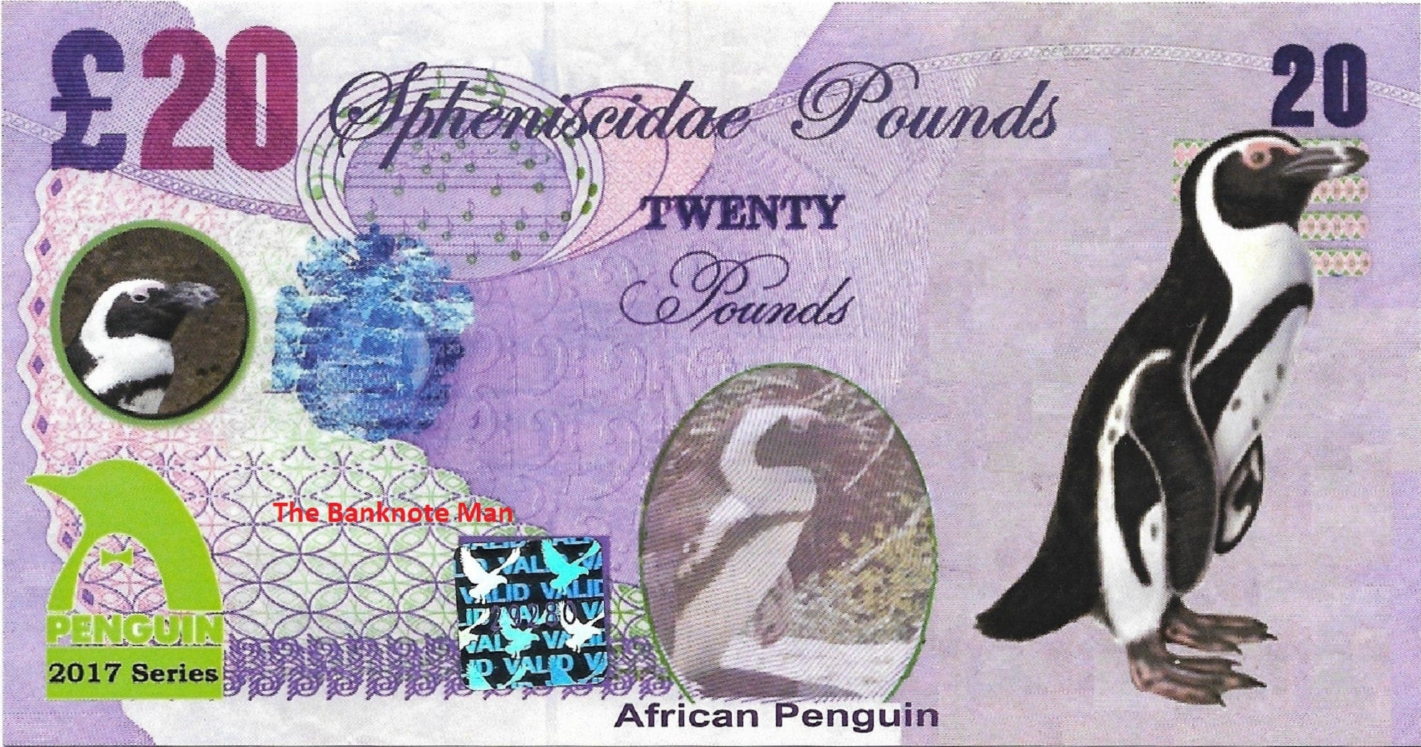 AFRICAN PENGUIN - 20 Spheniscidae Pounds; A Banknote Man FANTASY Note