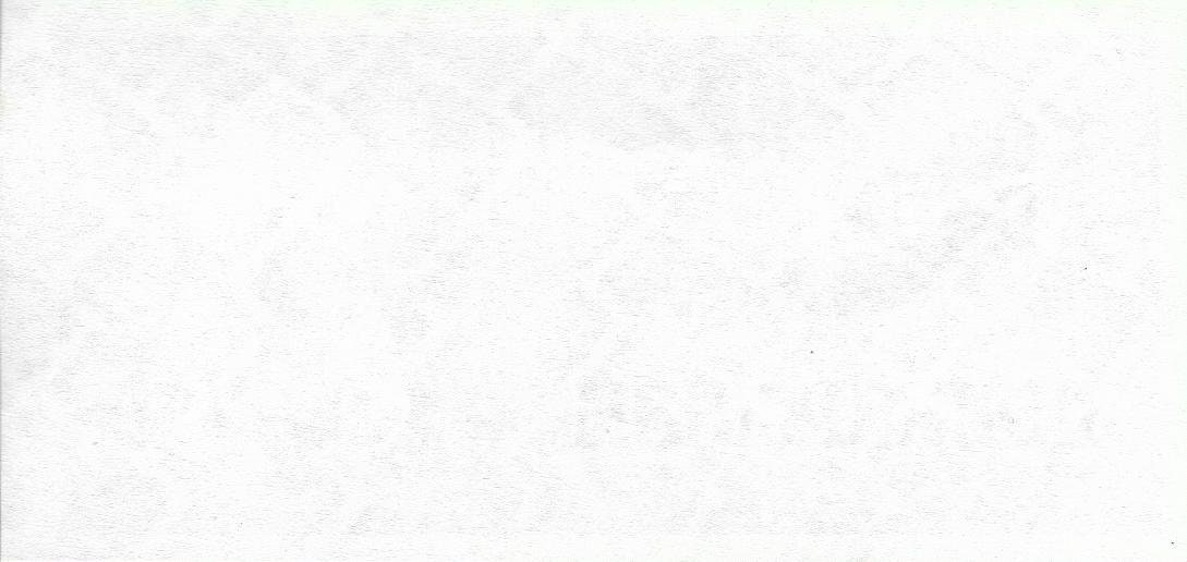 TATARSTAN 100 Rubles, P-5B, UNCIRCULATED, 1991-92; UNIQUE 1 sided note