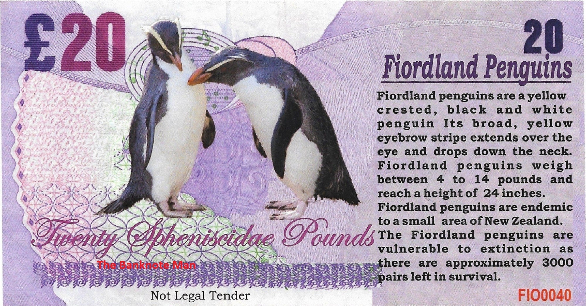 FIORDLAND PENGUIN - 20 Spheniscidae Pounds; A Banknote Man Fantasy Note