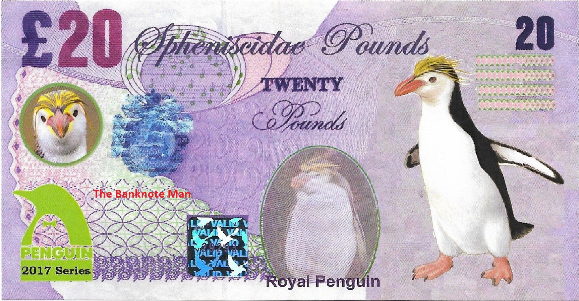 ROYAL PENGUIN - 20 Spheniscidae Pounds; A Banknote Man Fantasy Note