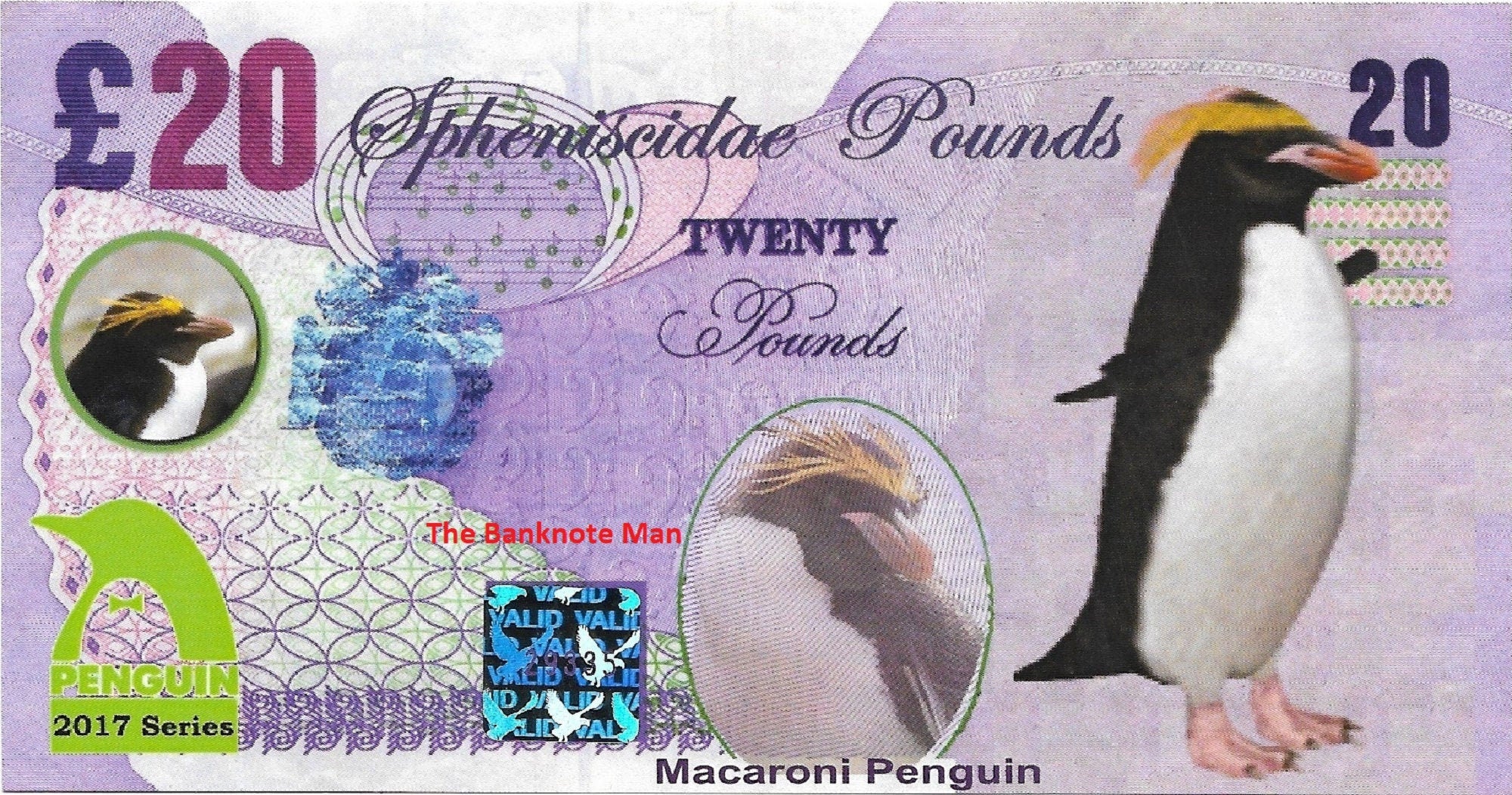 MACARONI PENGUIN - 20 Spheniscidae Pounds; A Banknote Man Fantasy Note