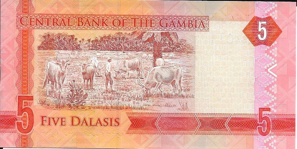 GAMBIA 5 Dalasis Banknote; P -31, UNCIRCULATED; Featuring a Giant Kingfisher and Cattle; a CROCODILE Head as Watermark
