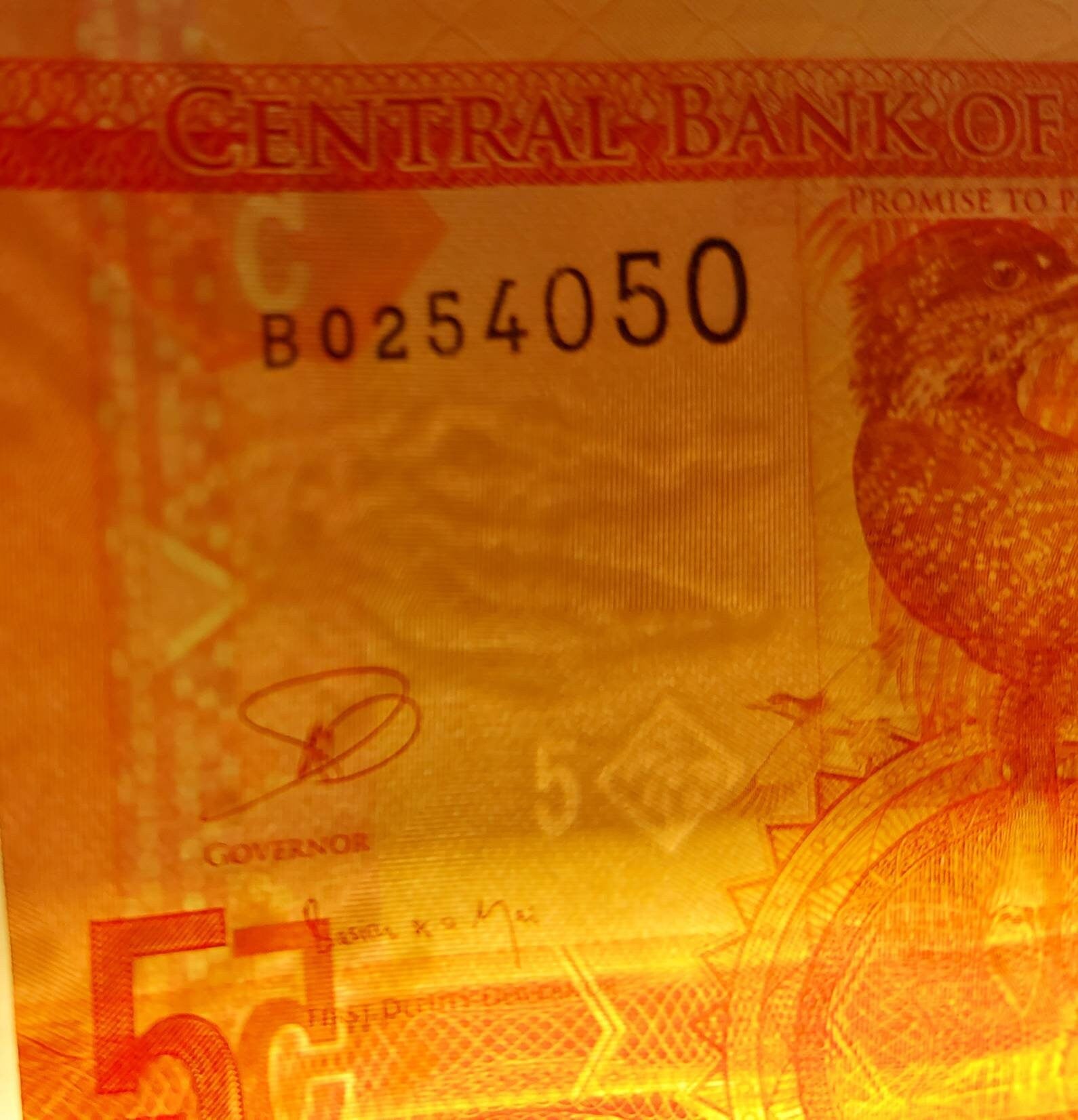 GAMBIA 5 Dalasis Banknote; P -31, UNCIRCULATED; Featuring a Giant Kingfisher and Cattle; a CROCODILE Head as Watermark