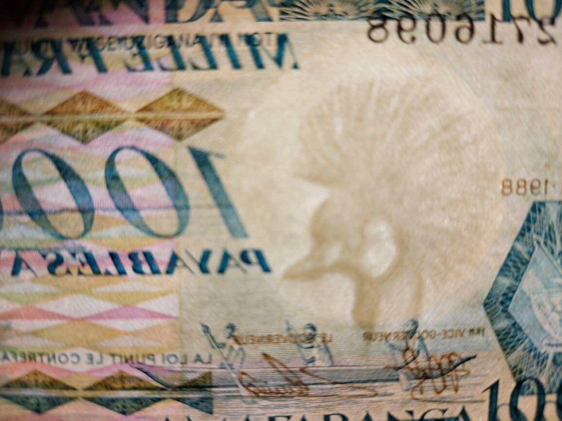 RWANDA 1000 Francs Banknote; P-21; UNCIRCULATED from 1988; Featuring Eastern Gorillas and Watusi Warriors