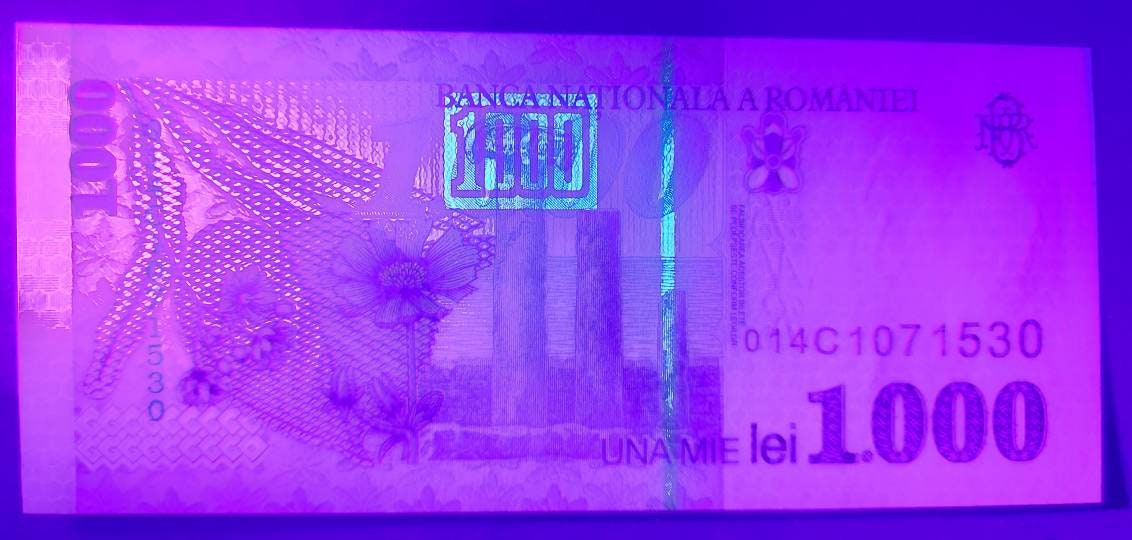 ROMANIA 1000 Lei, P-106, 1998; UNCIRCULATED; features Flowers and Ancient Fort