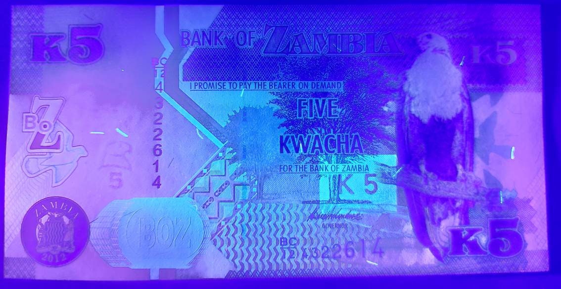 ZAMBIA 5 Kwacha, P-50a; 2012, UNCIRCULATED; Features a Fish Eagle & LION