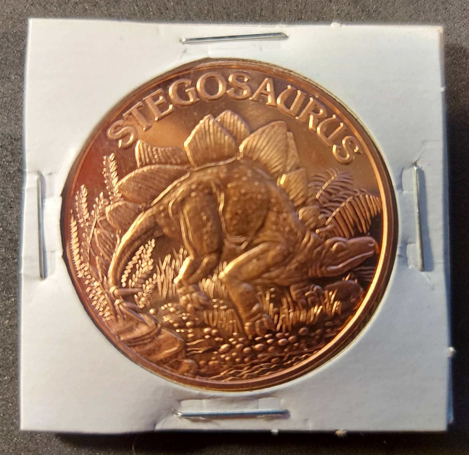 STEGOSAURUS in 1 Oz. COPPER Collector Rounds; in 2x2 Holder ~ 1 OZ Pure .999 Copper