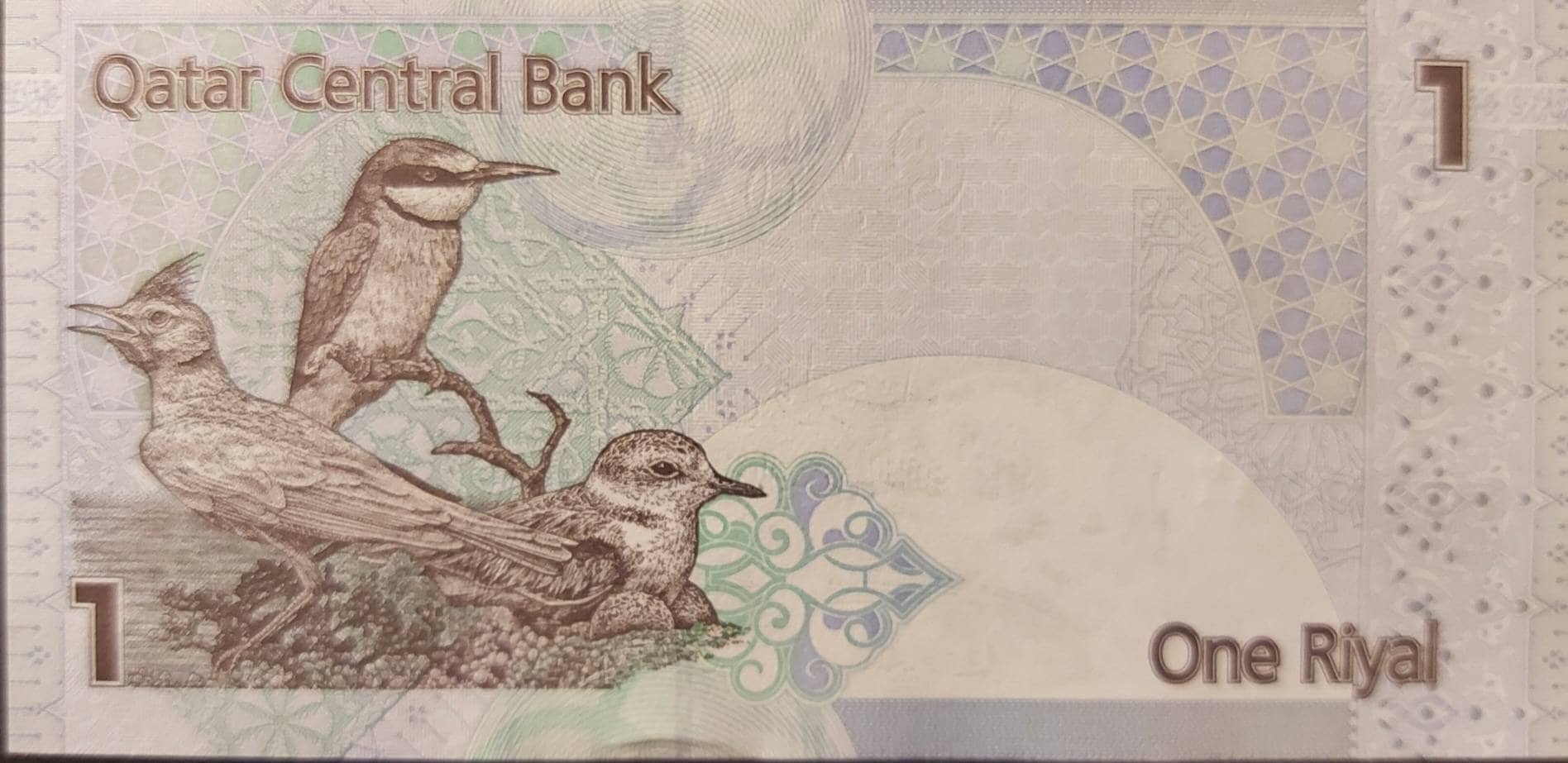 QATAR 1 Riyal; P -28b; UNCIRCULATED from 2008-15; Features 3 Native birds