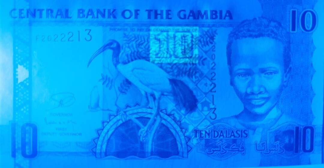 GAMBIA 10 Dalasis Banknote; P -26C, UNCIRCULATED from 2006; Featuring a Sacred Ibis and a CROCODILE Head as Watermark