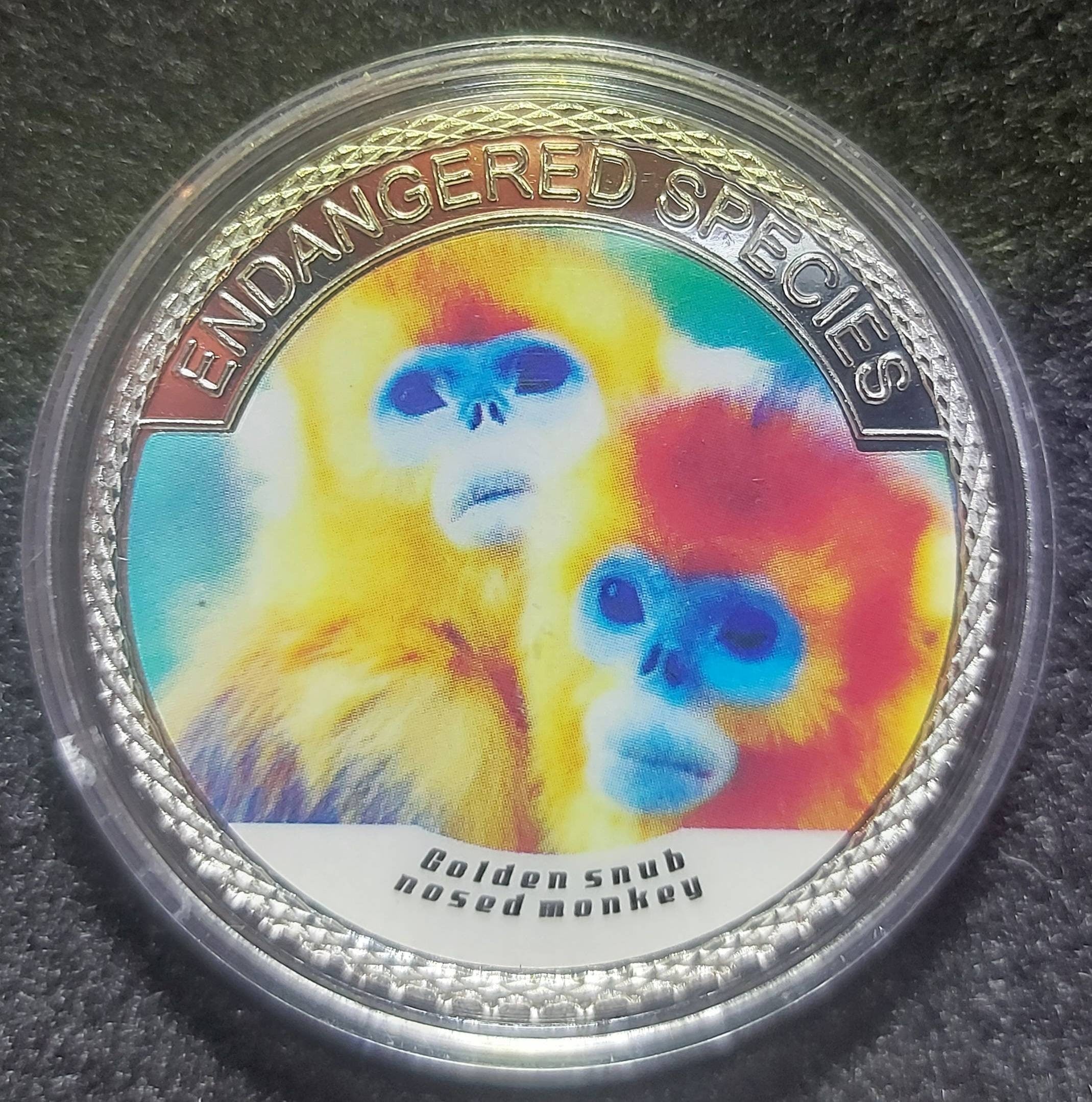 Silver Plated Coin ~ GOLDEN Snub-Nosed MONKEY ~ Endangered Species Series ~ 30 Grams In Capsule