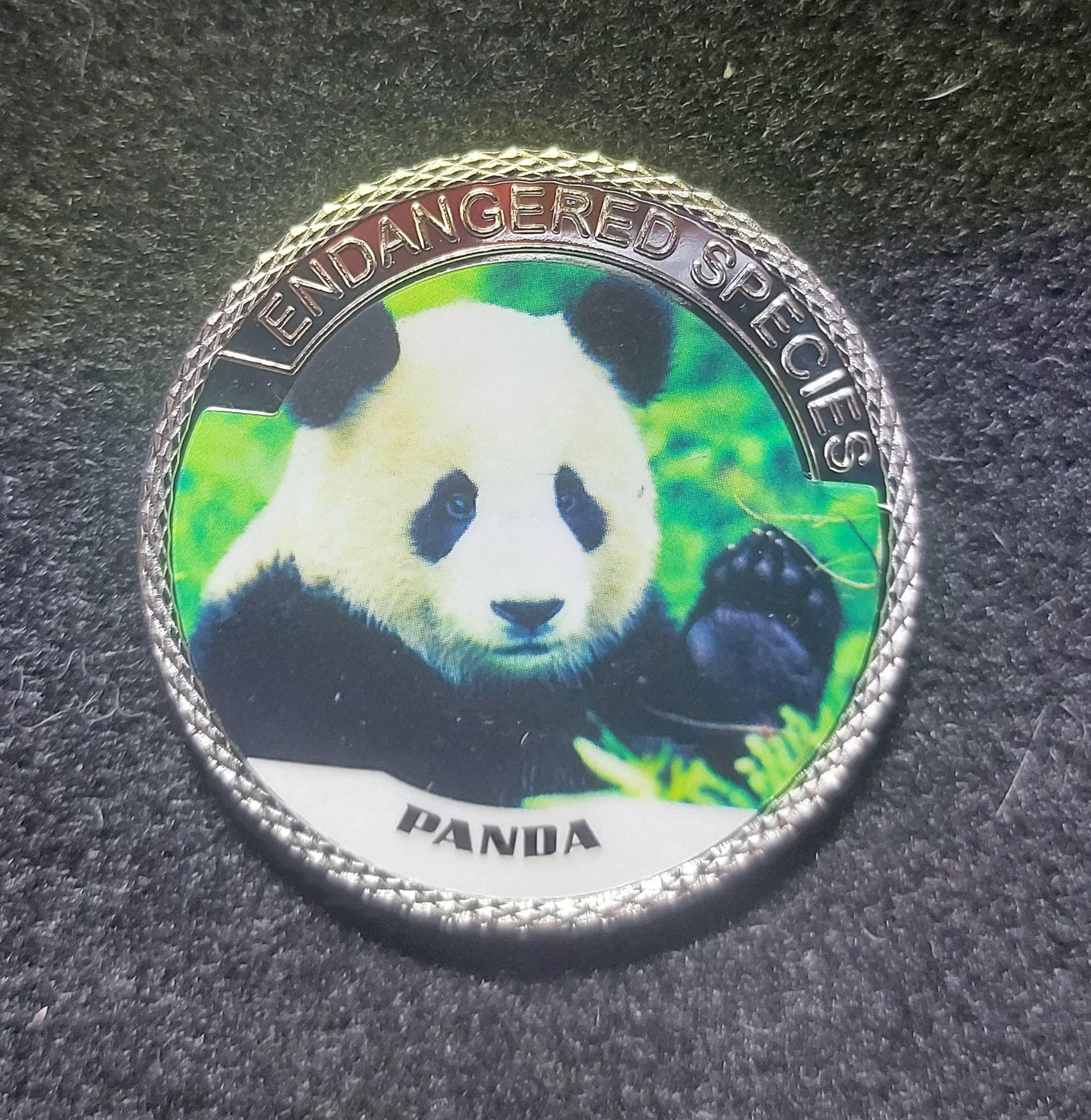 Silver Plated Coin ~ PANDA ~ Endangered Species Series ~ 30 Grams In Capsule