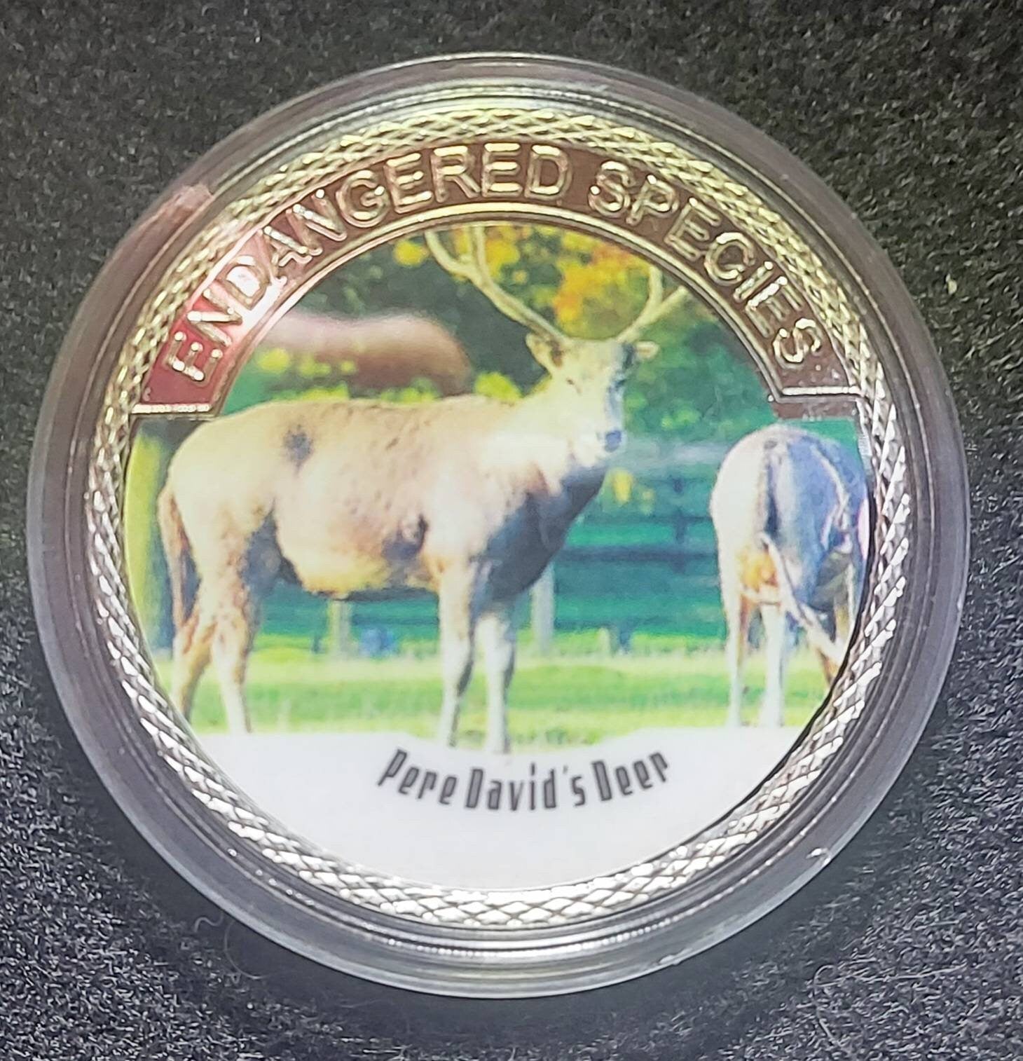 Silver Plated Coin ~ PERE DAVID'S DEER ~ Endangered Species Series ~ 30 Grams In Capsule