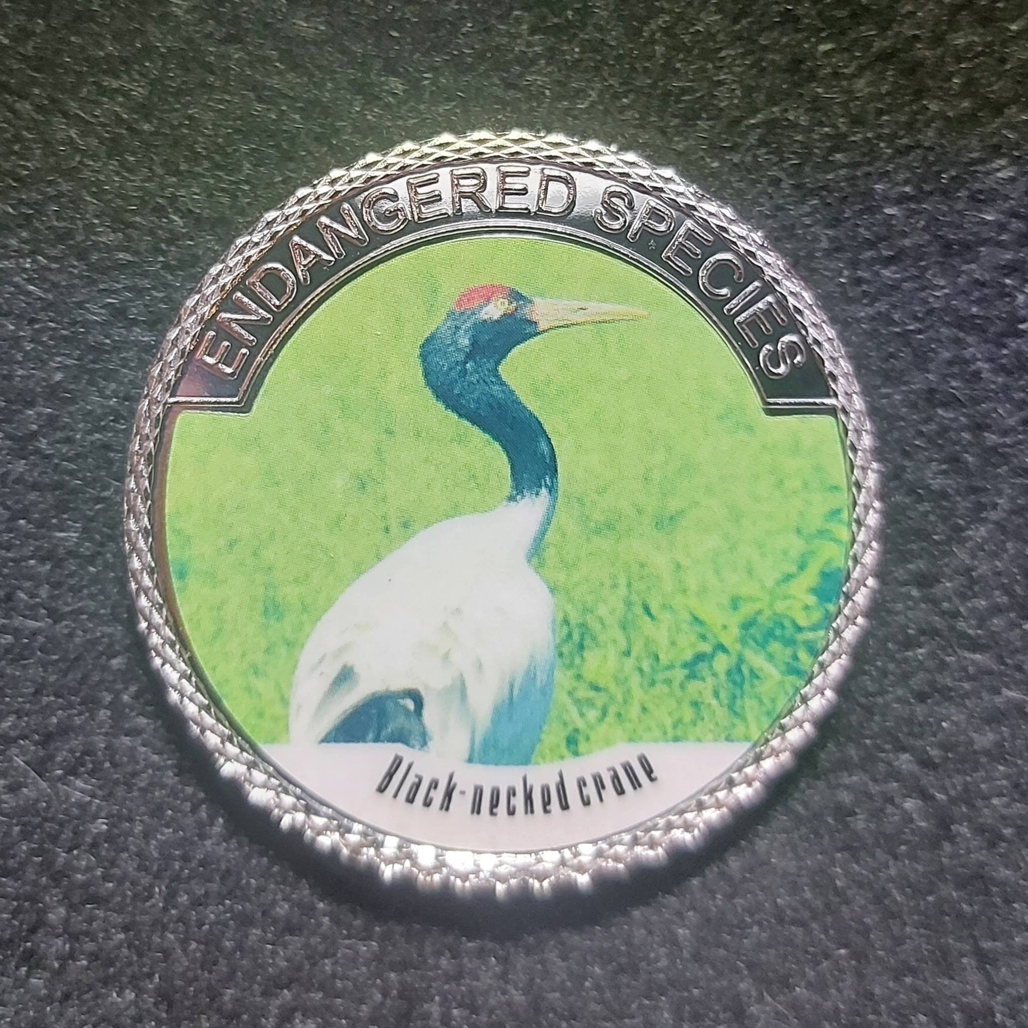 Silver Plated Coin ~ BLACK-NECKED CRANE ~ Endangered Species Series ~ 30 Grams In Capsule