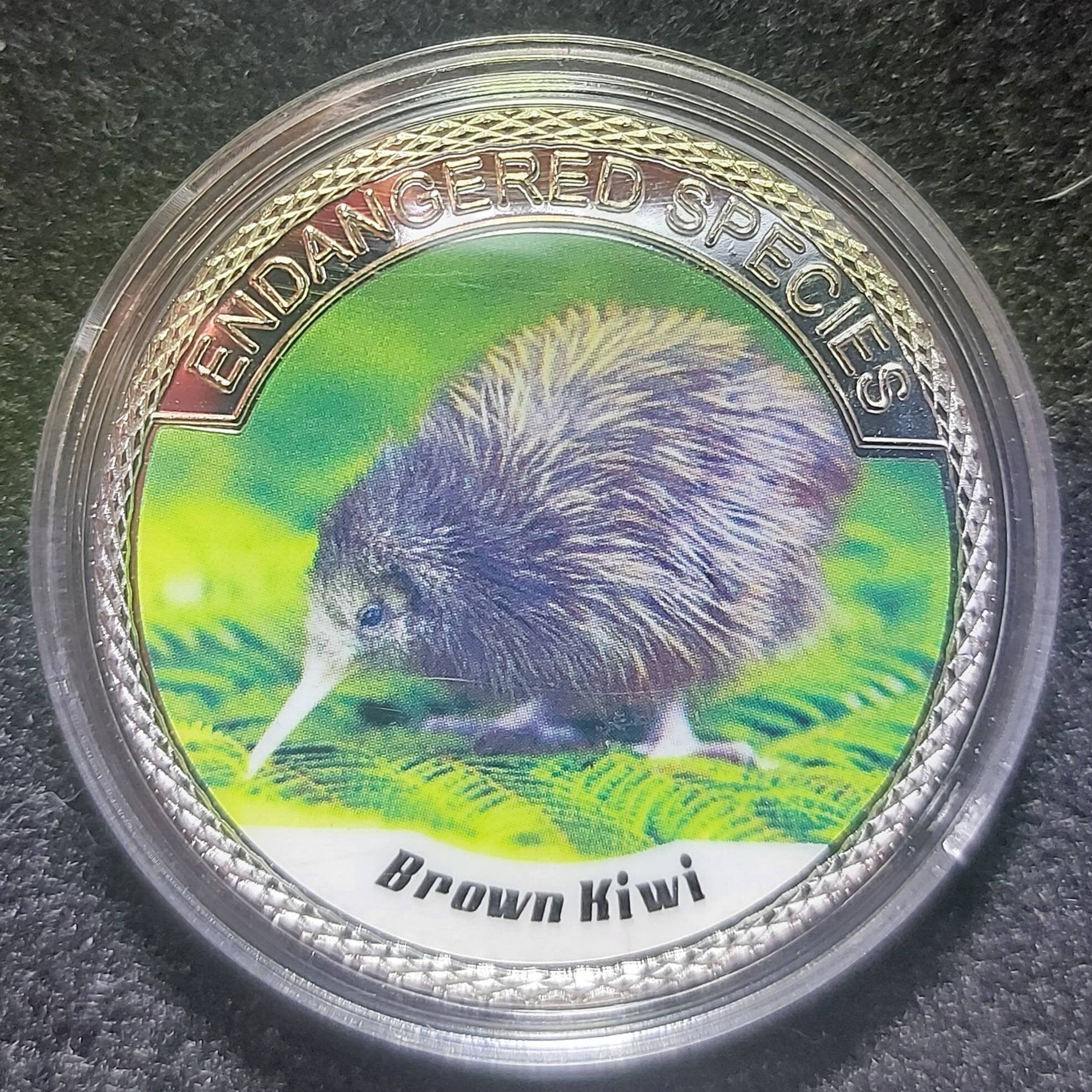 Silver Plated Coin ~ BROWN KIWI ~ Endangered Species Series ~ 30 Grams In Capsule