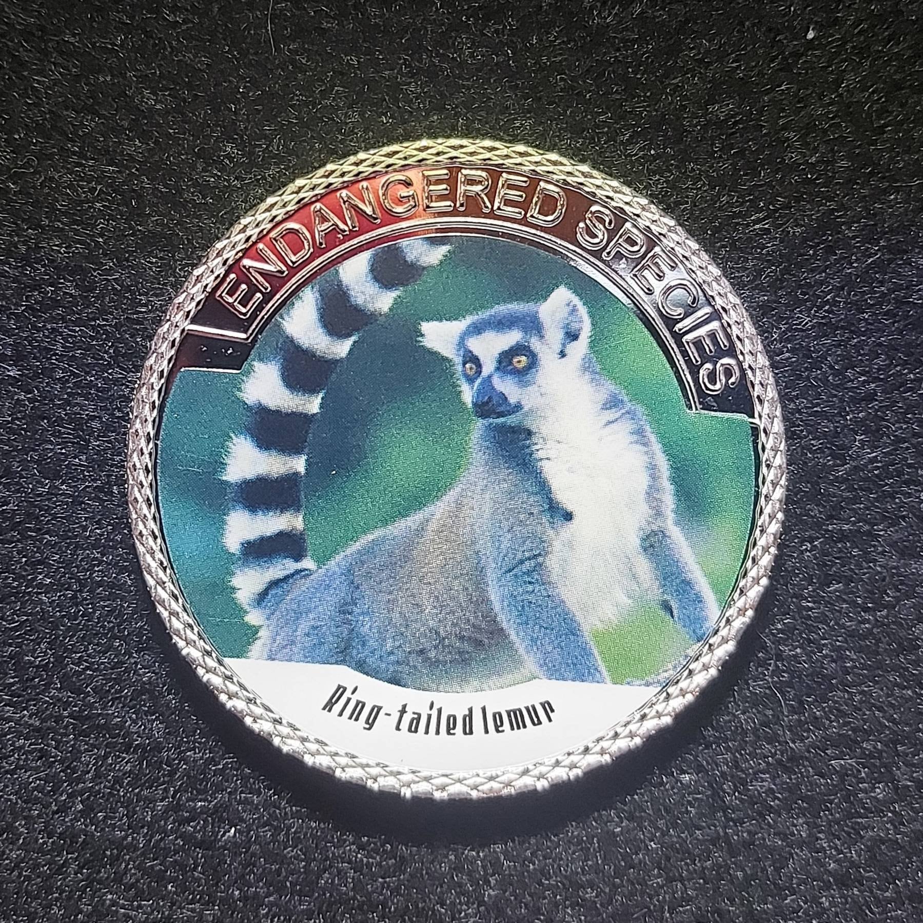 Silver Plated Coin ~ RING-TAILED LEMUR ~ Endangered Species Series ~ 30 Grams In Capsule