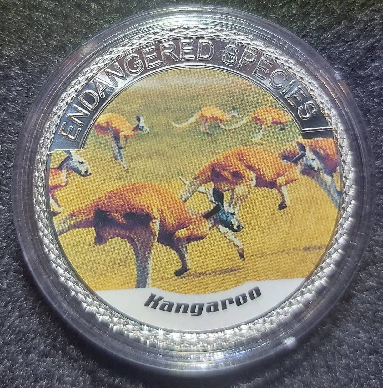 Silver Plated Coin ~ KANGAROO ~ Endangered Species Series ~ 30 Grams In Capsule