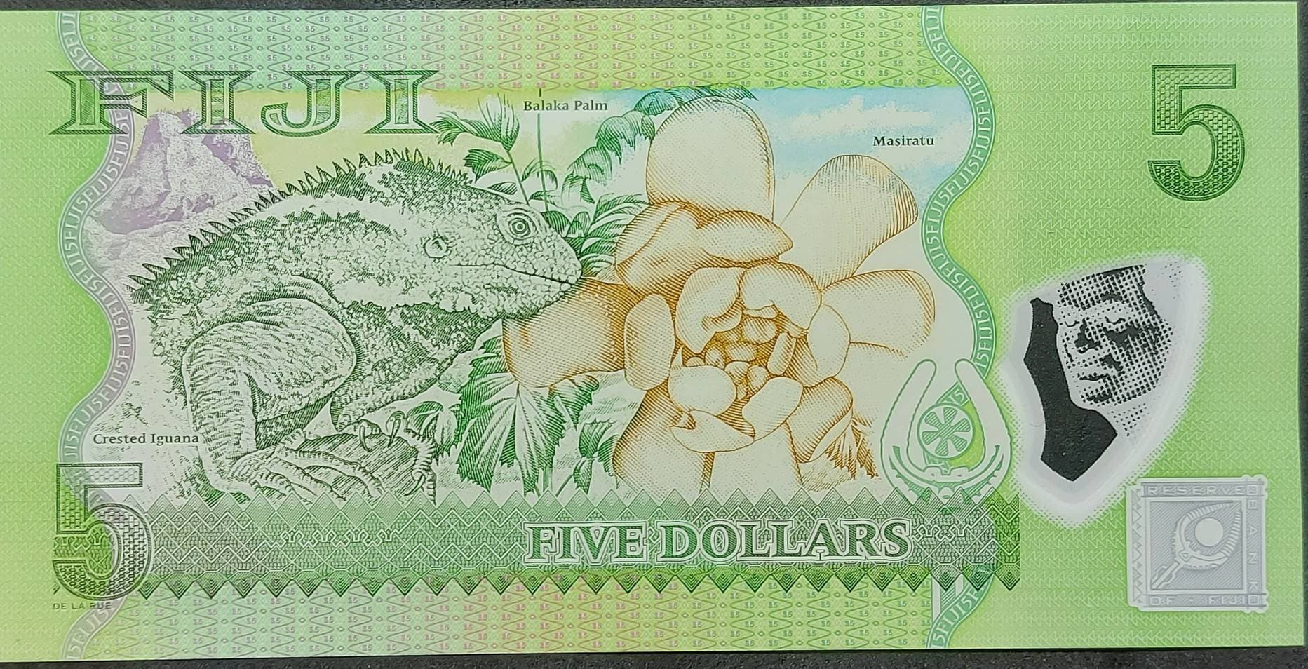 FIJI 5 Dollars Banknote, P- 115; UNCIRCULATED from 2013; features a Lorikeet on front and Crested Iguana on back; POLYMER