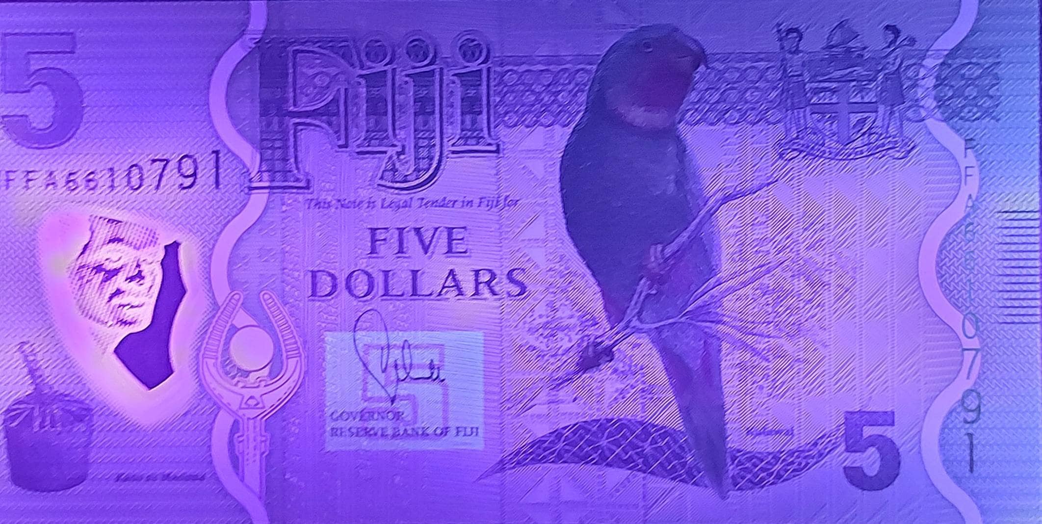 FIJI 5 Dollars Banknote, P- 115; UNCIRCULATED from 2013; features a Lorikeet on front and Crested Iguana on back; POLYMER