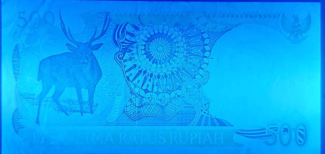 INDONESIA 500 Rupiah, P- 123; CIRCULATED (VF) from 1988; features a Timorese Stag; Bank of Indonesia at back