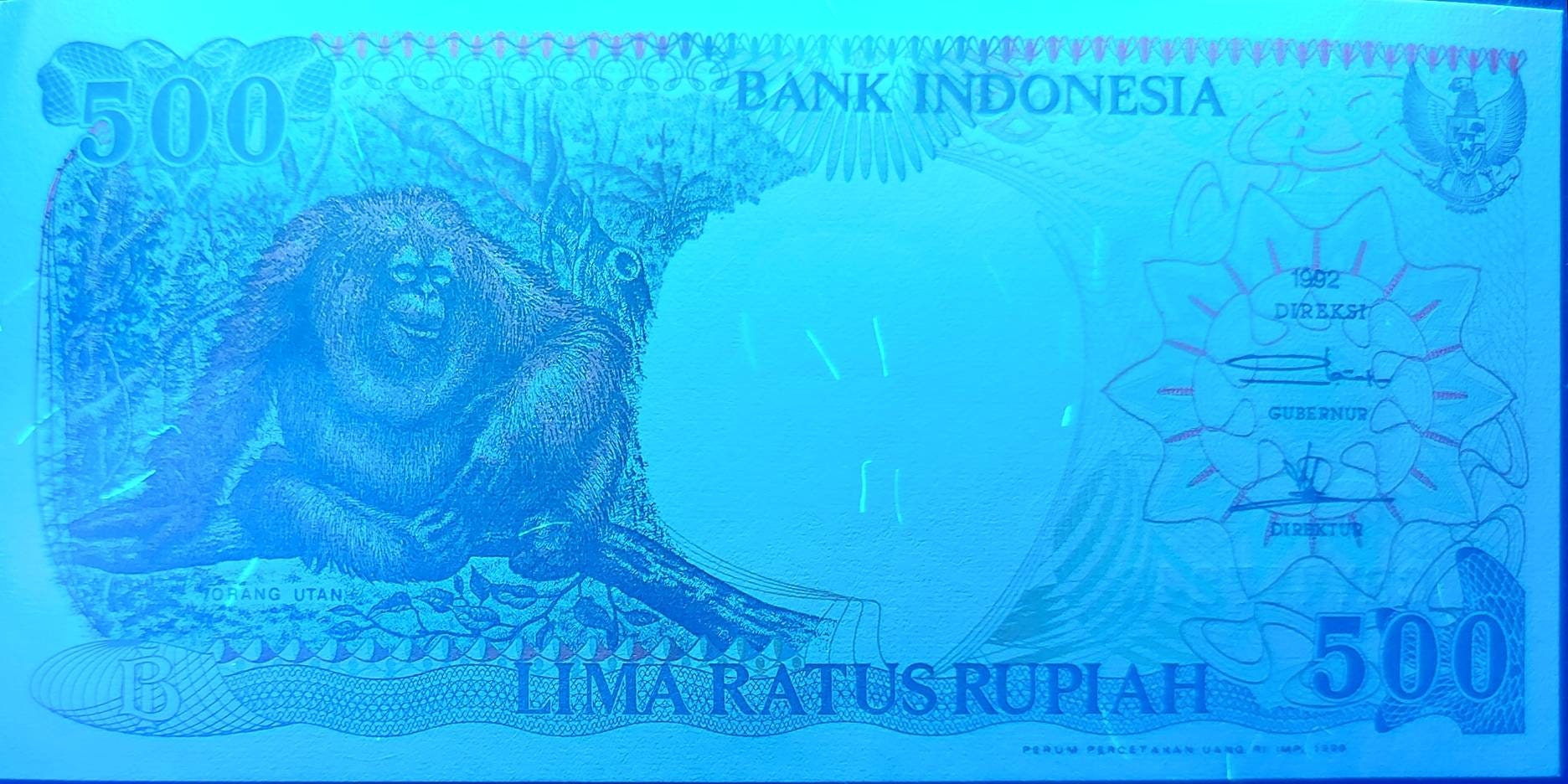 INDONESIA 500 Rupiah, P- 128h; UNCIRCULATED, 1999; features an Orangutan; Native Huts at back