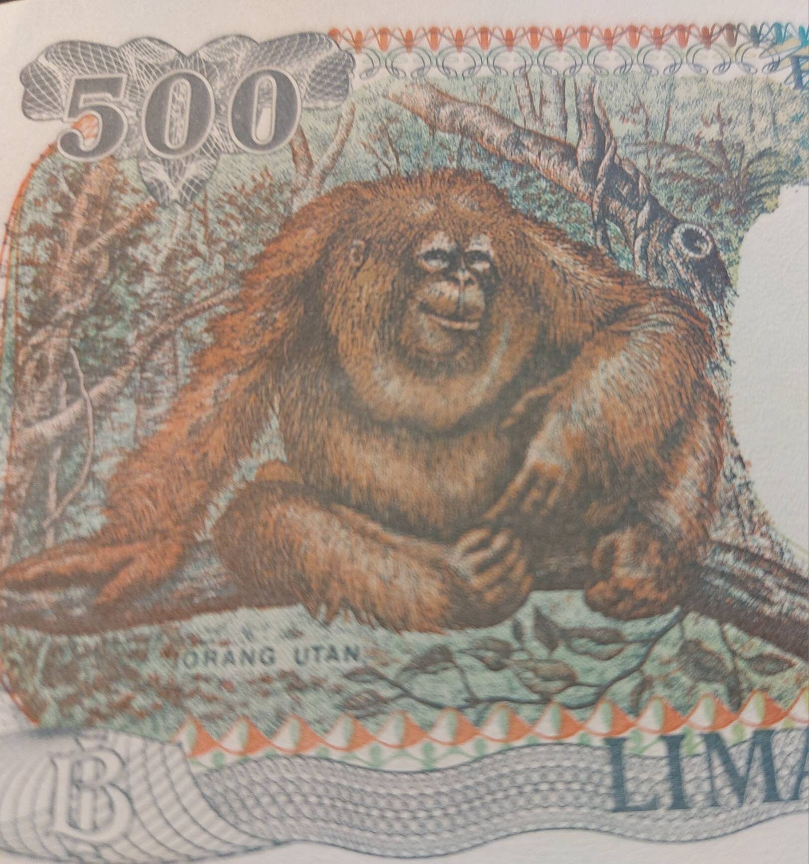 INDONESIA 500 Rupiah, P- 128h; UNCIRCULATED, 1999; features an Orangutan; Native Huts at back