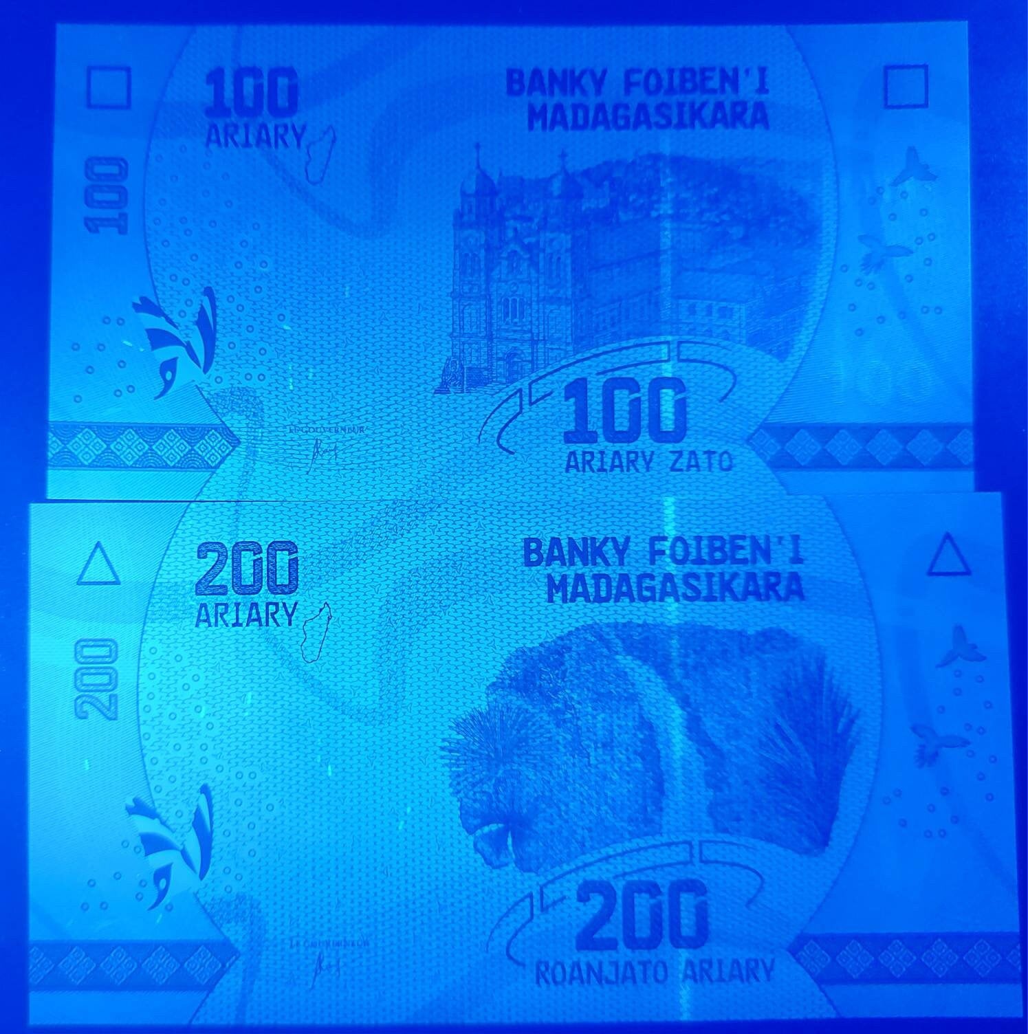 MADAGASCAR ~ 2 Note Banknote LoT ~ 100 and 200 Ariary; Amazing Colors, Butterfly Silhouettes