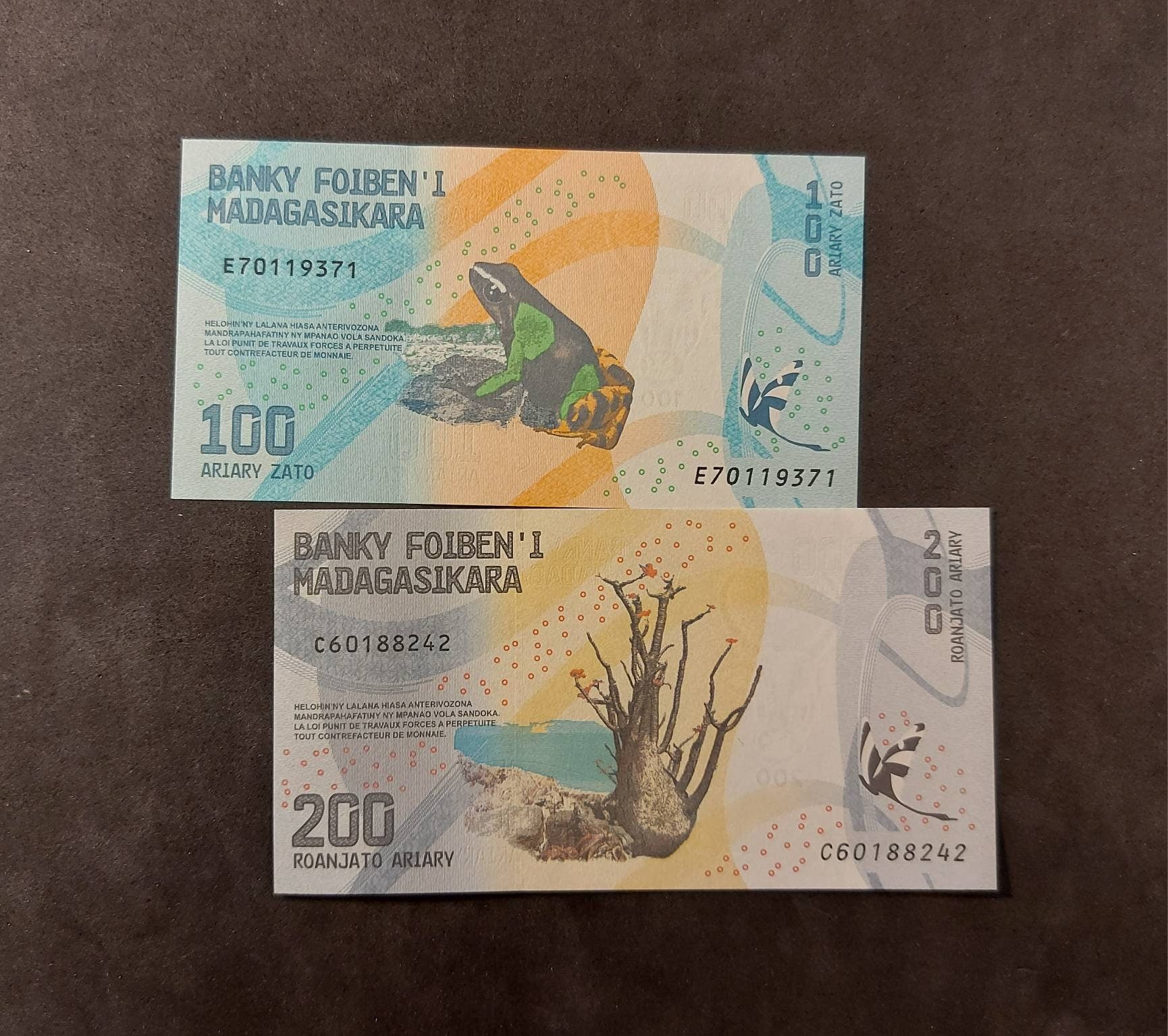 MADAGASCAR ~ 2 Note Banknote LoT ~ 100 and 200 Ariary; Amazing Colors, Butterfly Silhouettes