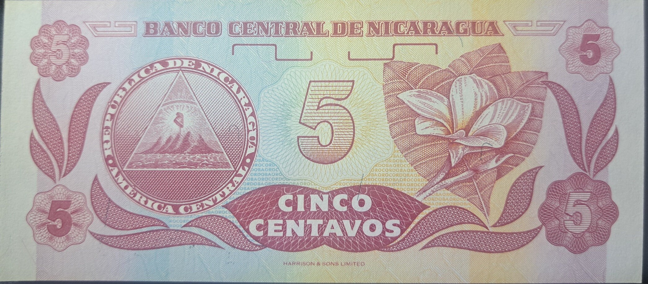 NICARAGUA 5 Centavos, P-168; UNCIRCULATED, 1991; features flowers and Arms symbol