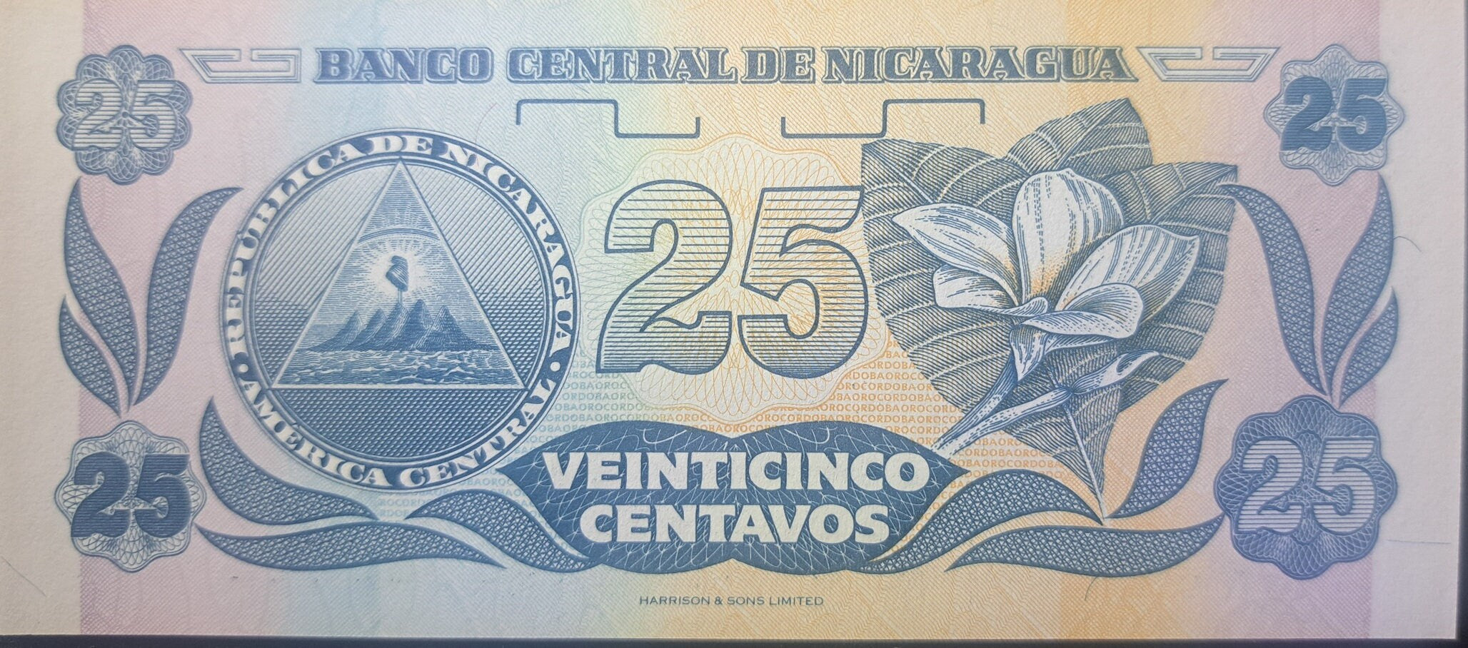 NICARAGUA 25 Centavos, P-170, UNCIRCULATED, 1991; features flowers and Arms symbol