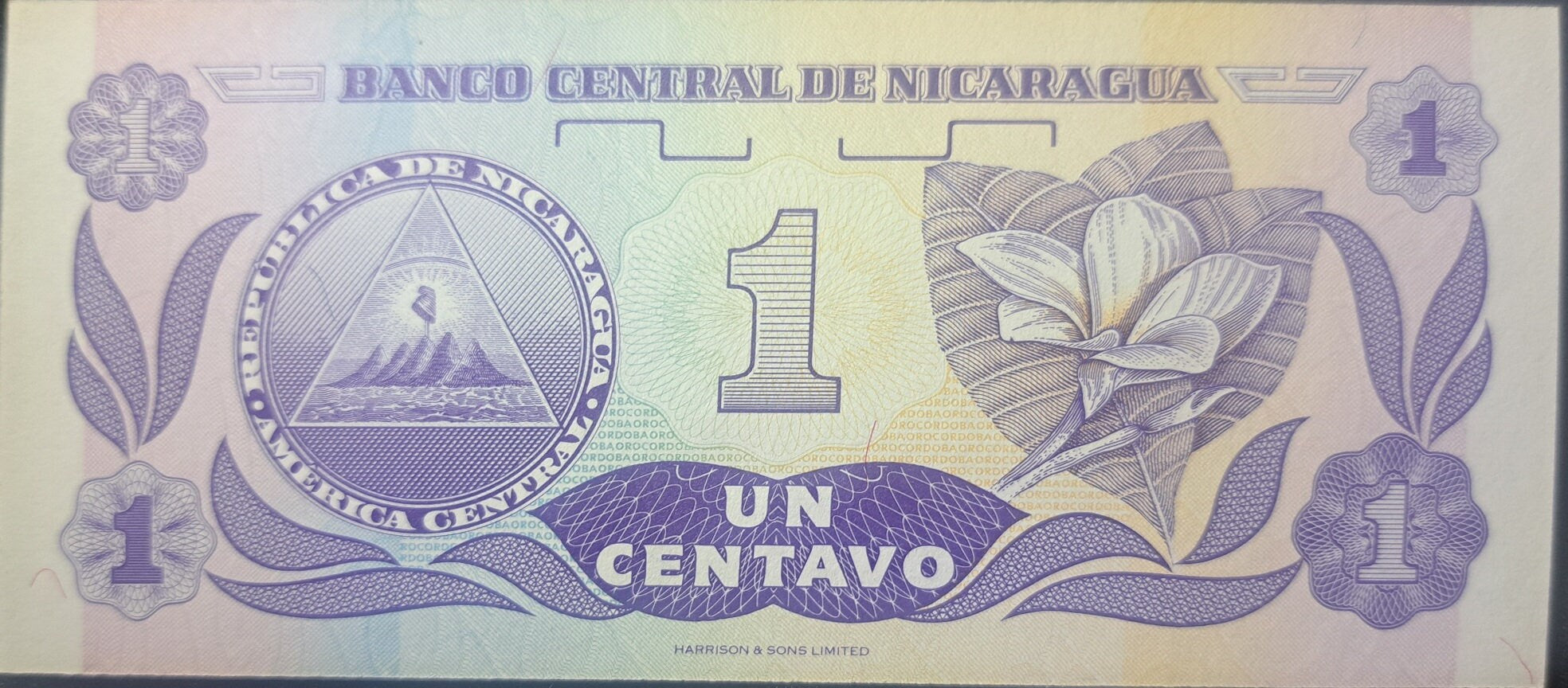 NICARAGUA 1 Centavo, P-167; UNCIRCULATED, 1991; features flowers and Arms symbol