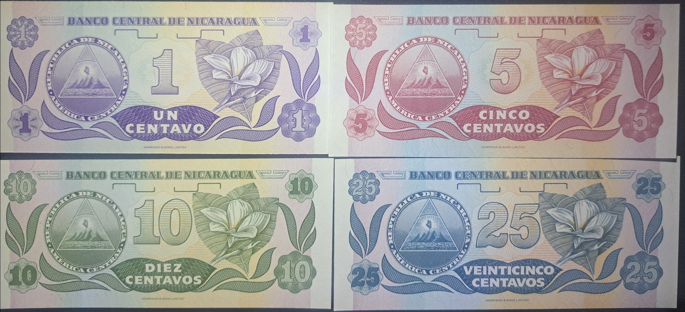 NICARAGUA 1 to 25 Centavos Banknote Set; UNCIRCULATED, 1991; features flowers and Arms symbol