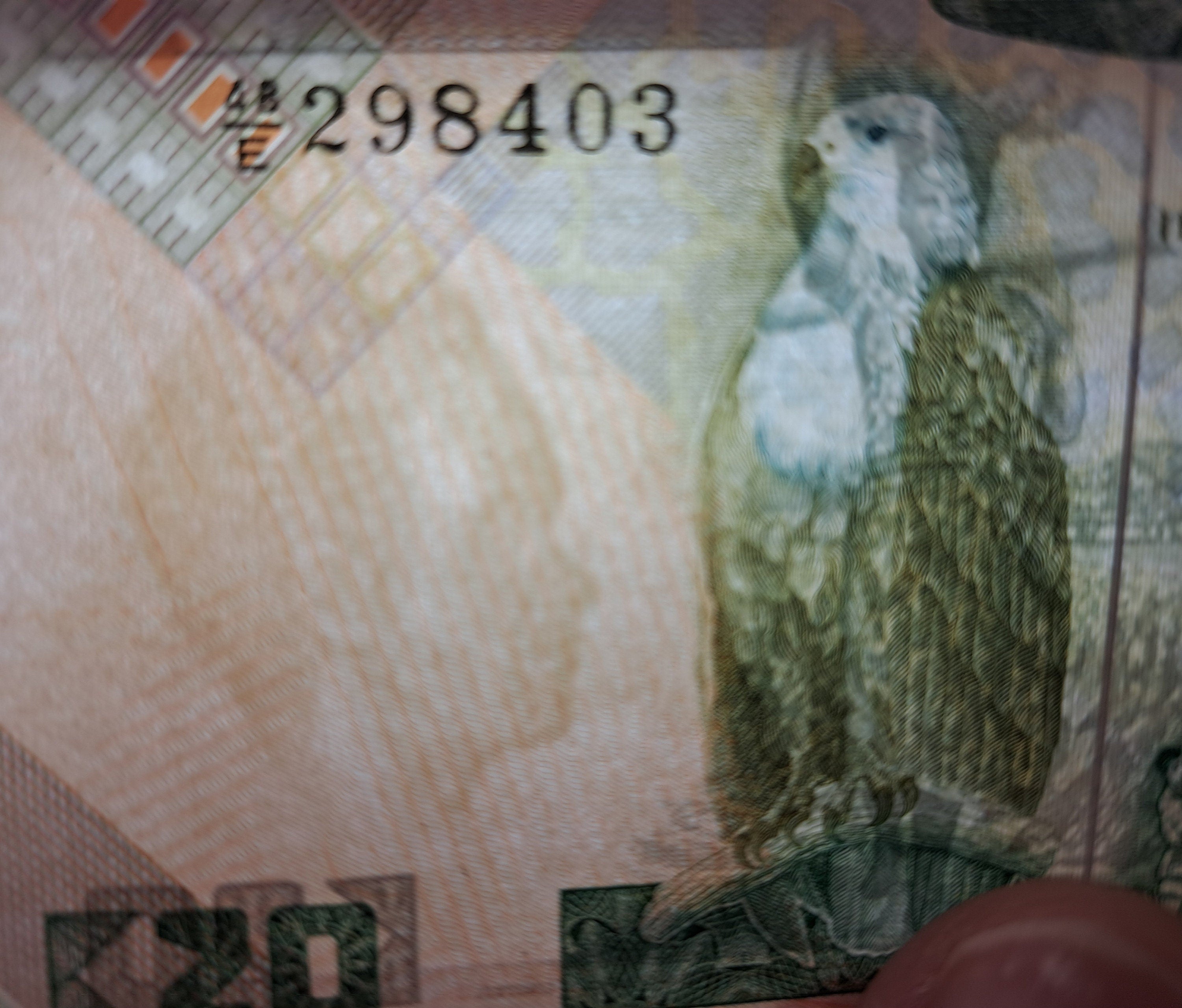 ZAMBIA 20 Kwacha, P-27e, UNCIRCULATED, 1980; Features a Fish Eagle; Woman with basket