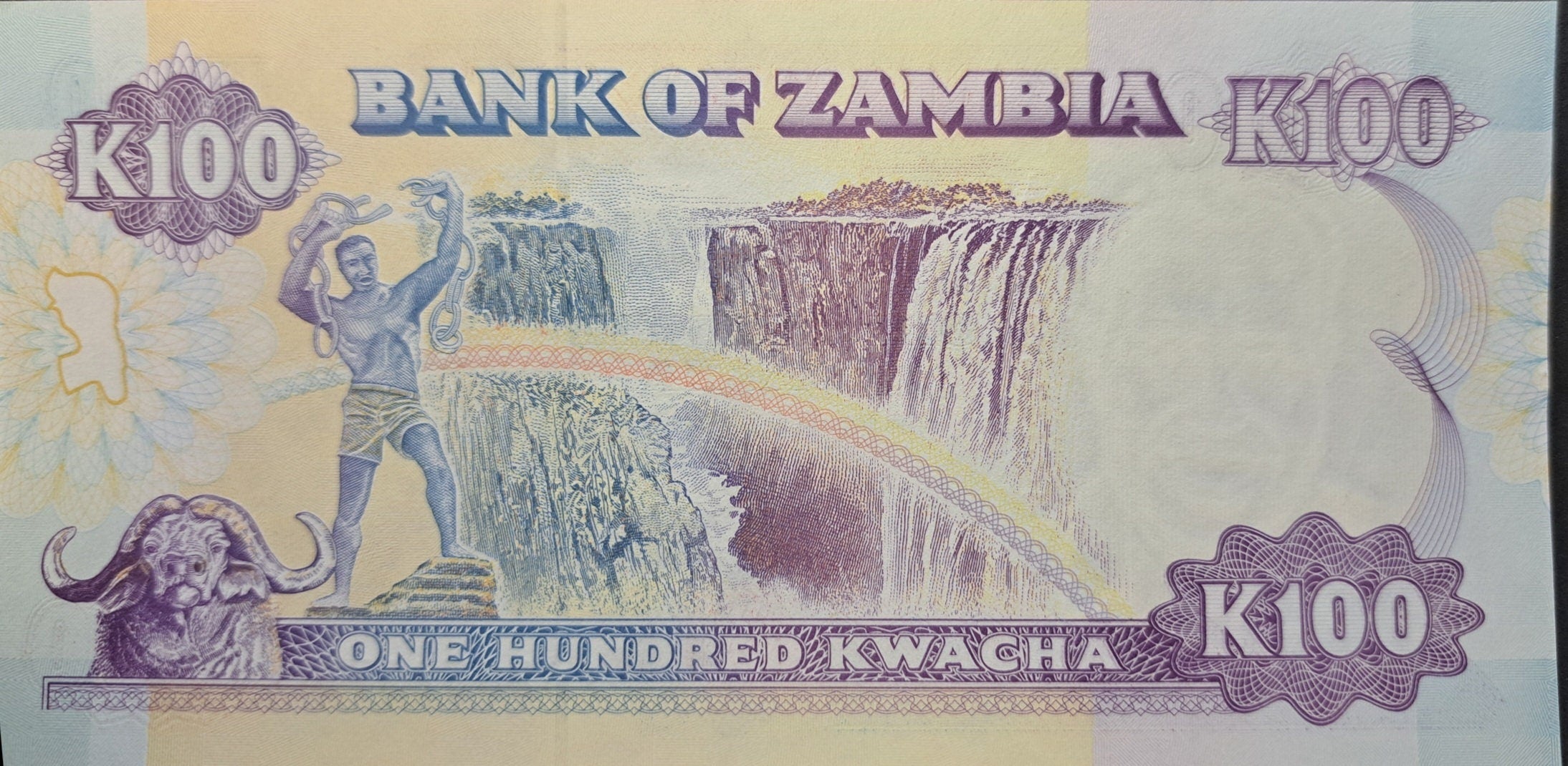 ZAMBIA 100 Kwacha, P-34, UNCIRCULATED, 1991; Features a Fish Eagle; Victoria Falls