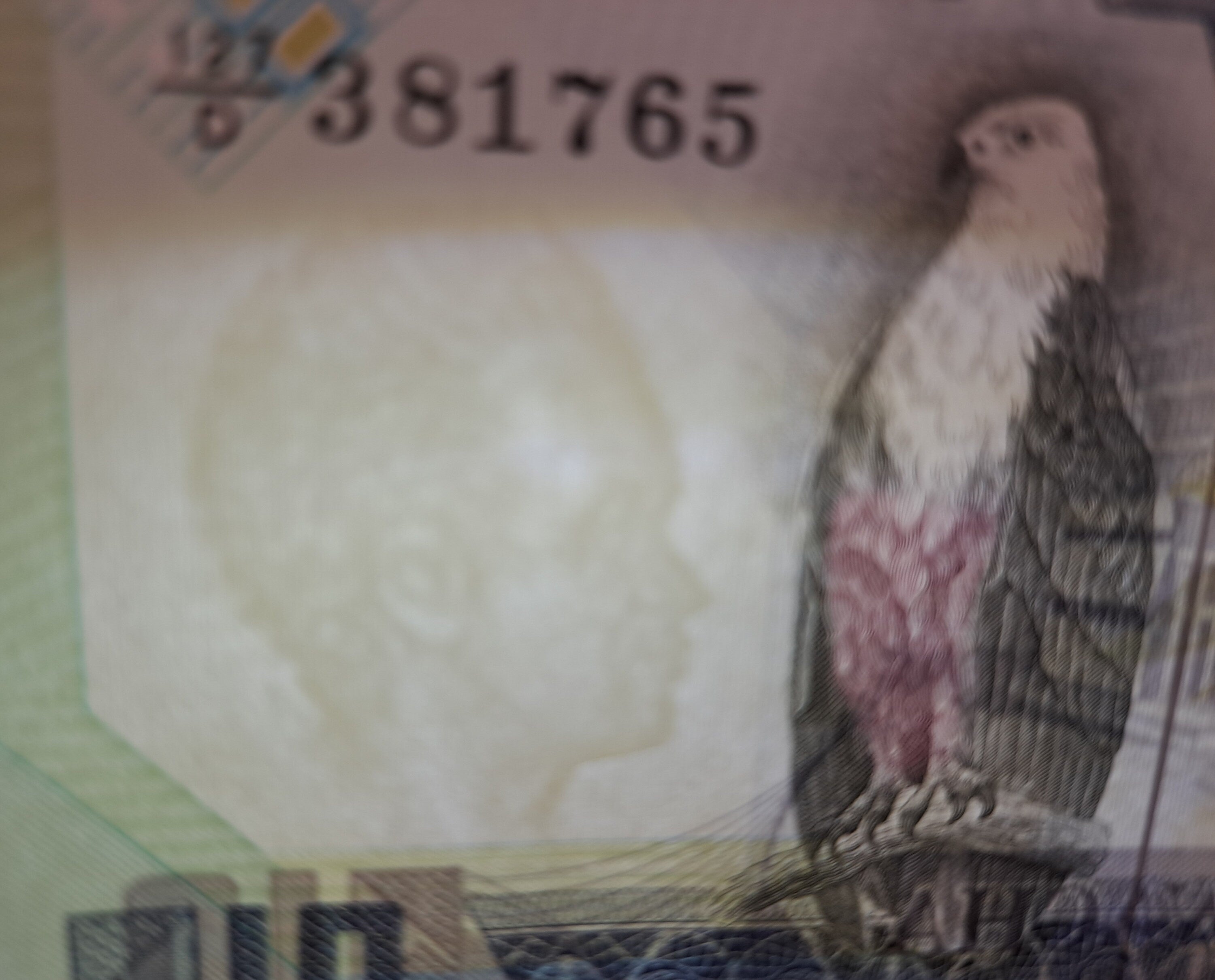 ZAMBIA 10 Kwacha, P- 26e; UNCIRCULATED, 1980; Features a Fish Eagle